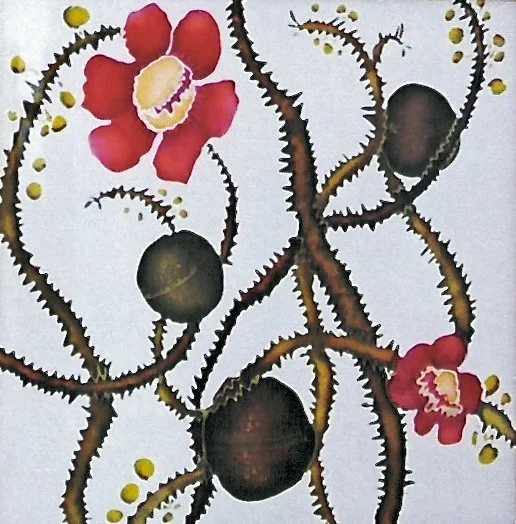 9 Panel Screen Canonball.jpeg