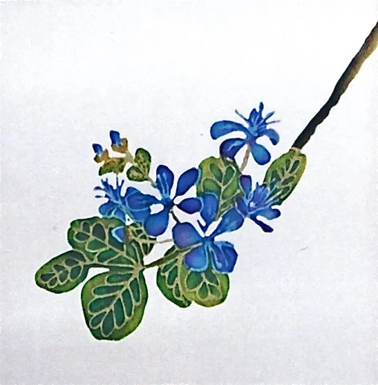 9 Panel Screen Lignum Vitae.jpeg