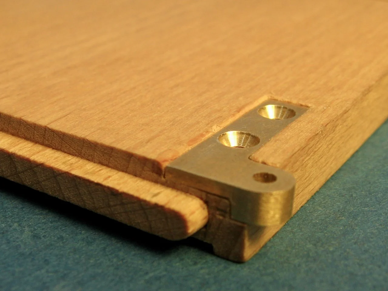 Lower hinges installed_003.jpeg