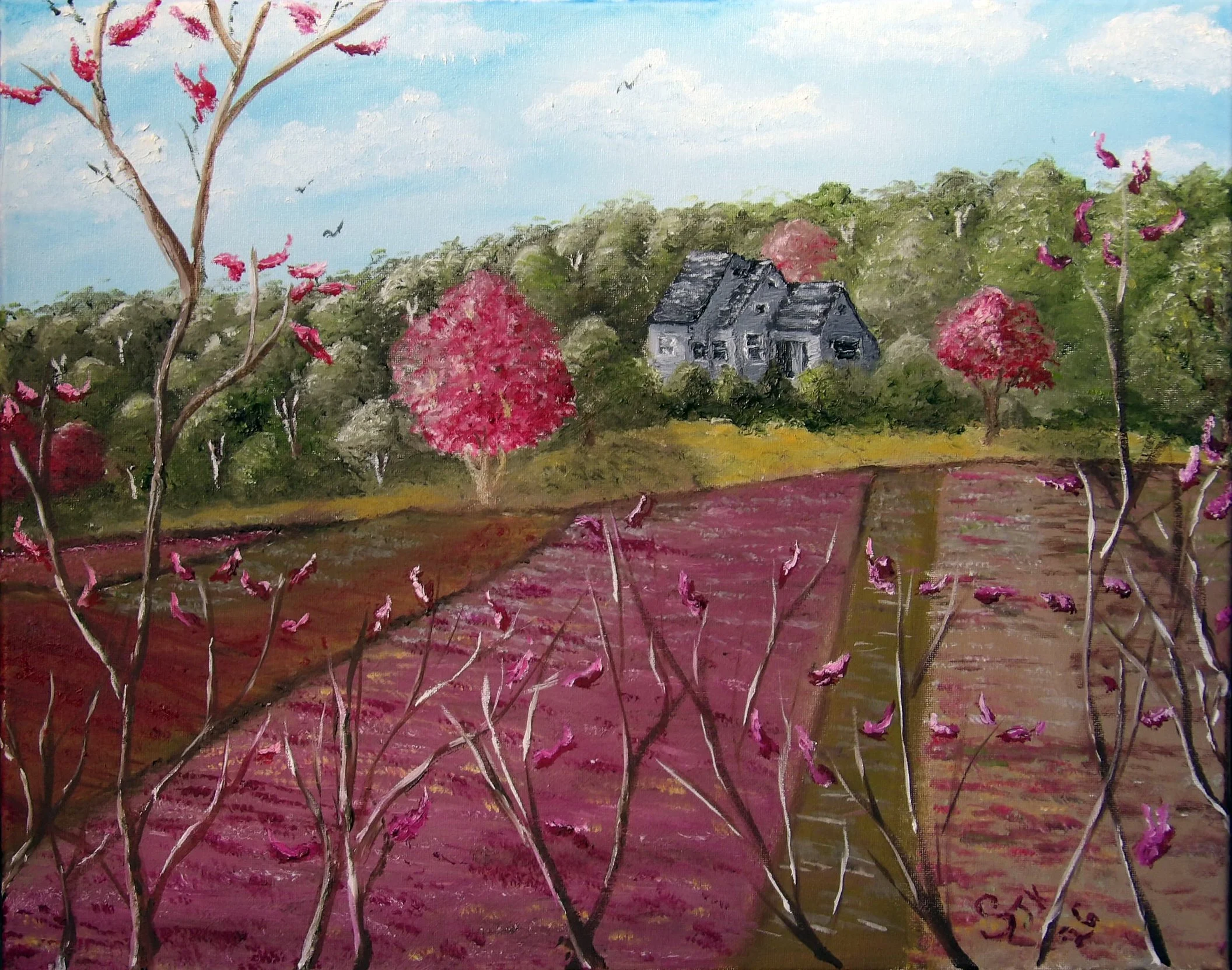 Cranberry Bog