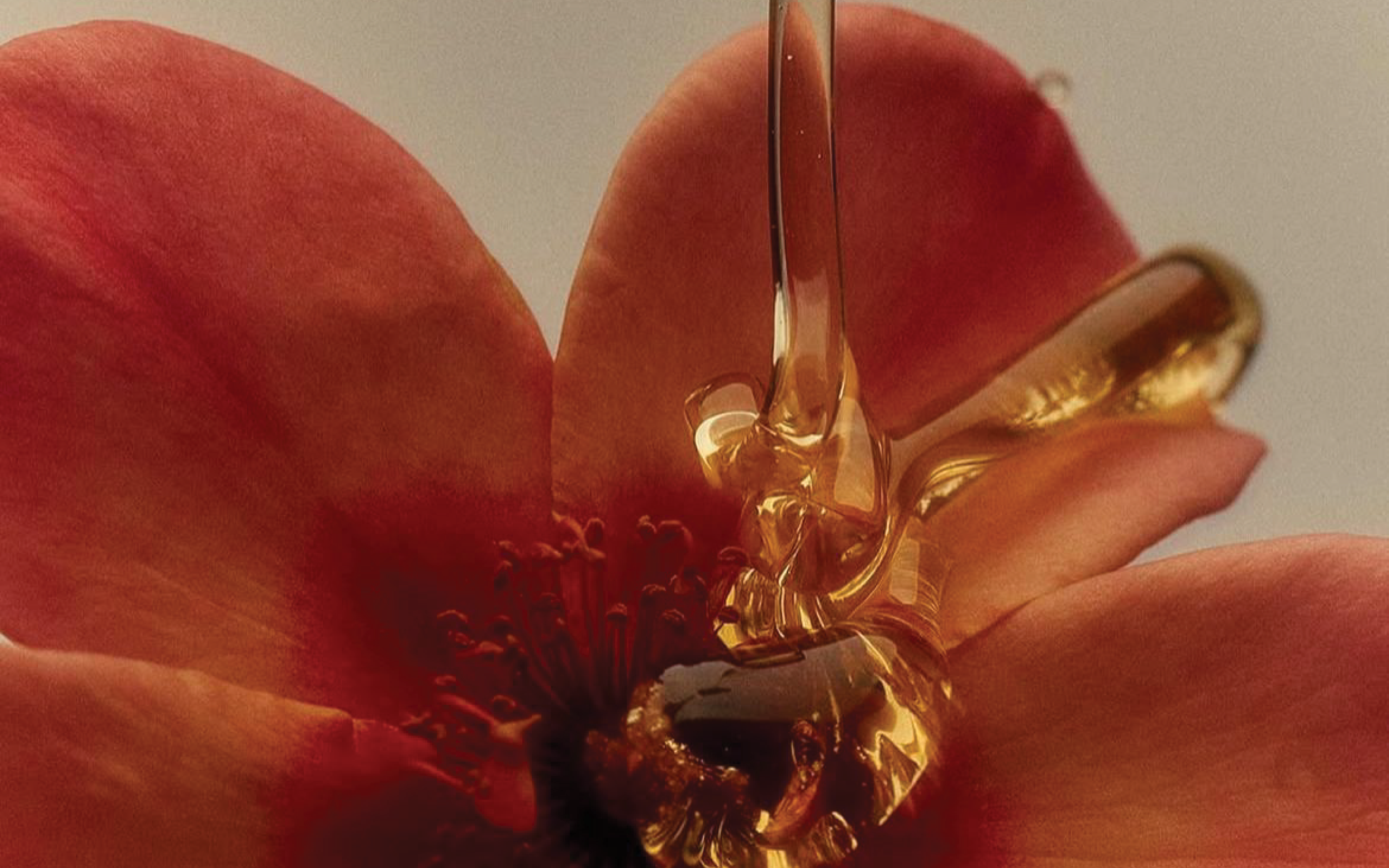 Flower Honey.png