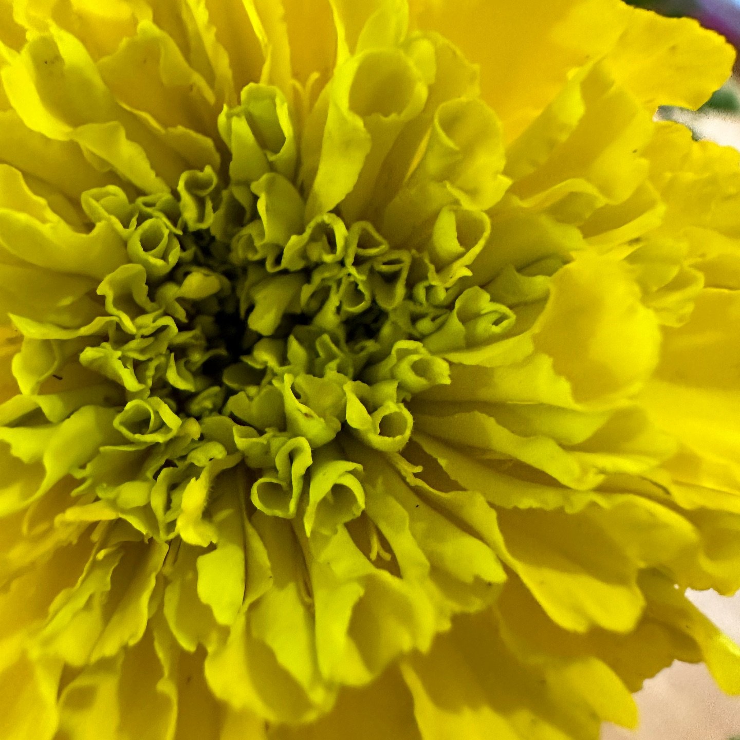💛Gifts of appreciation 💛 Receiving  messages from some of the participants of the Removing Unseen Obstacles immersion is always a humbling experience. 
These personal accounts of transformation and peace motivates me to be an even more authentic sh