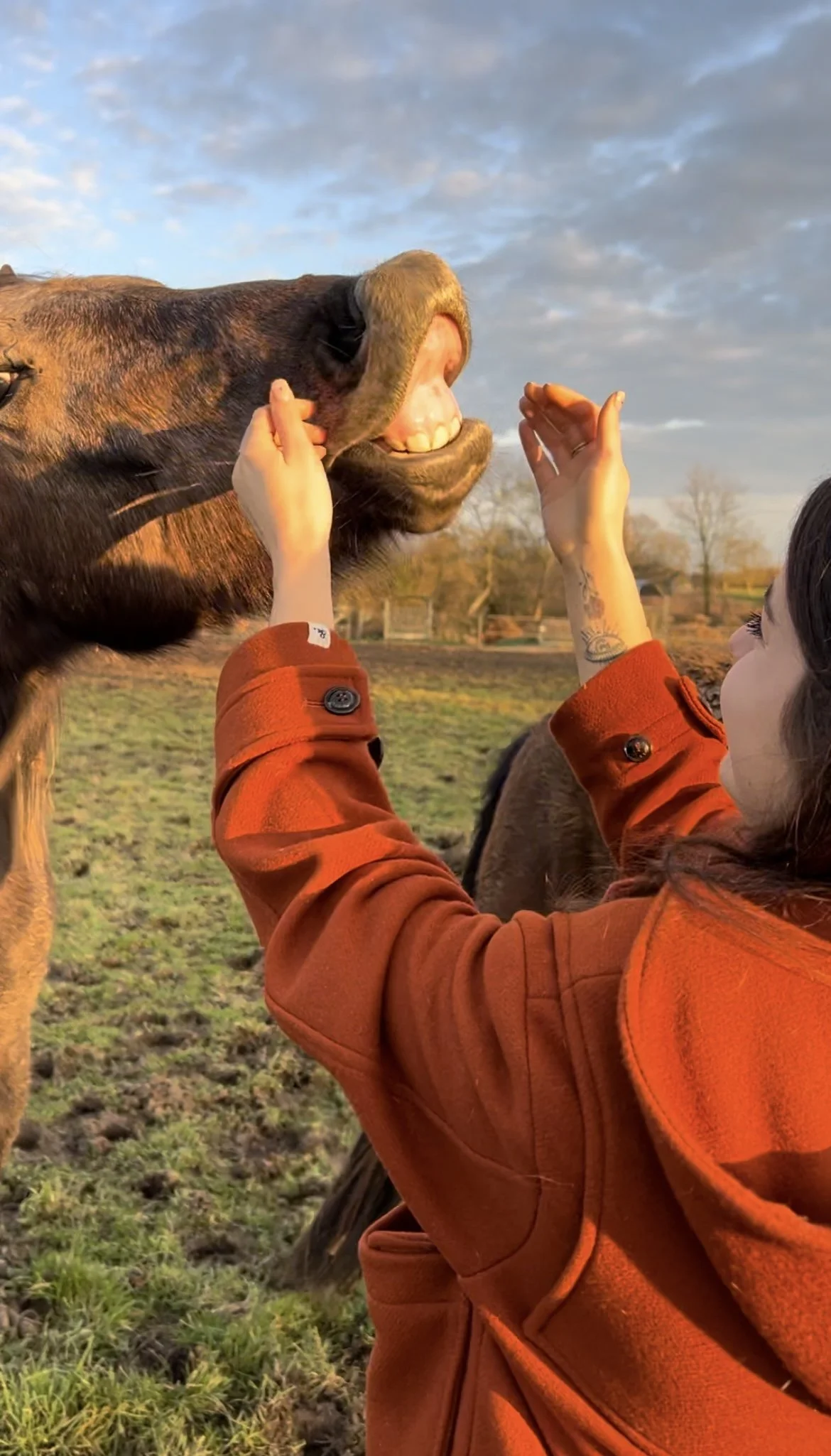 Une femme en manteau orange joue avec un cheval dans un champ lors d'un coucher de soleil.