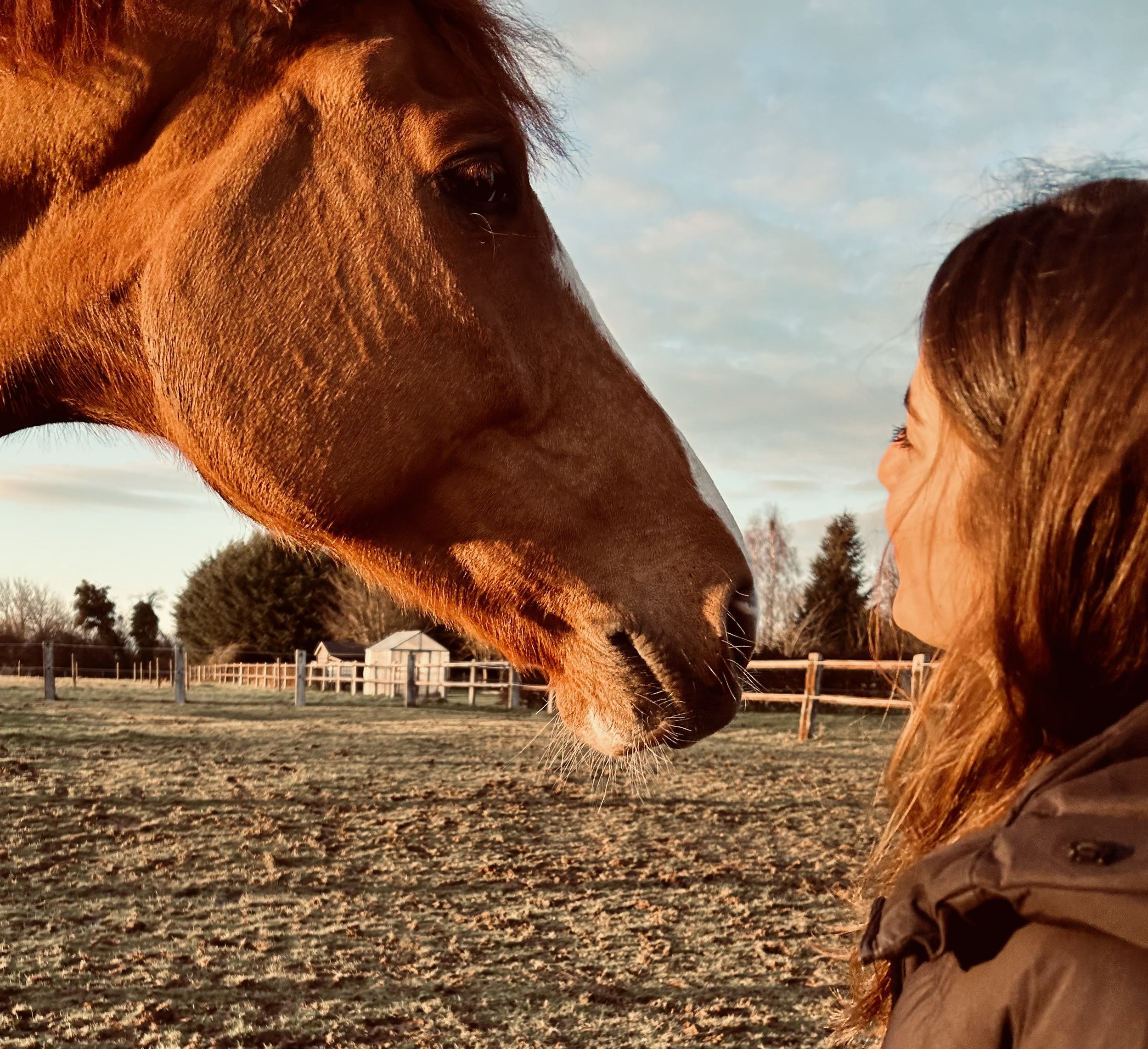 Une femme et un cheval semblent se regarder tendrement dans un champ en plein air.