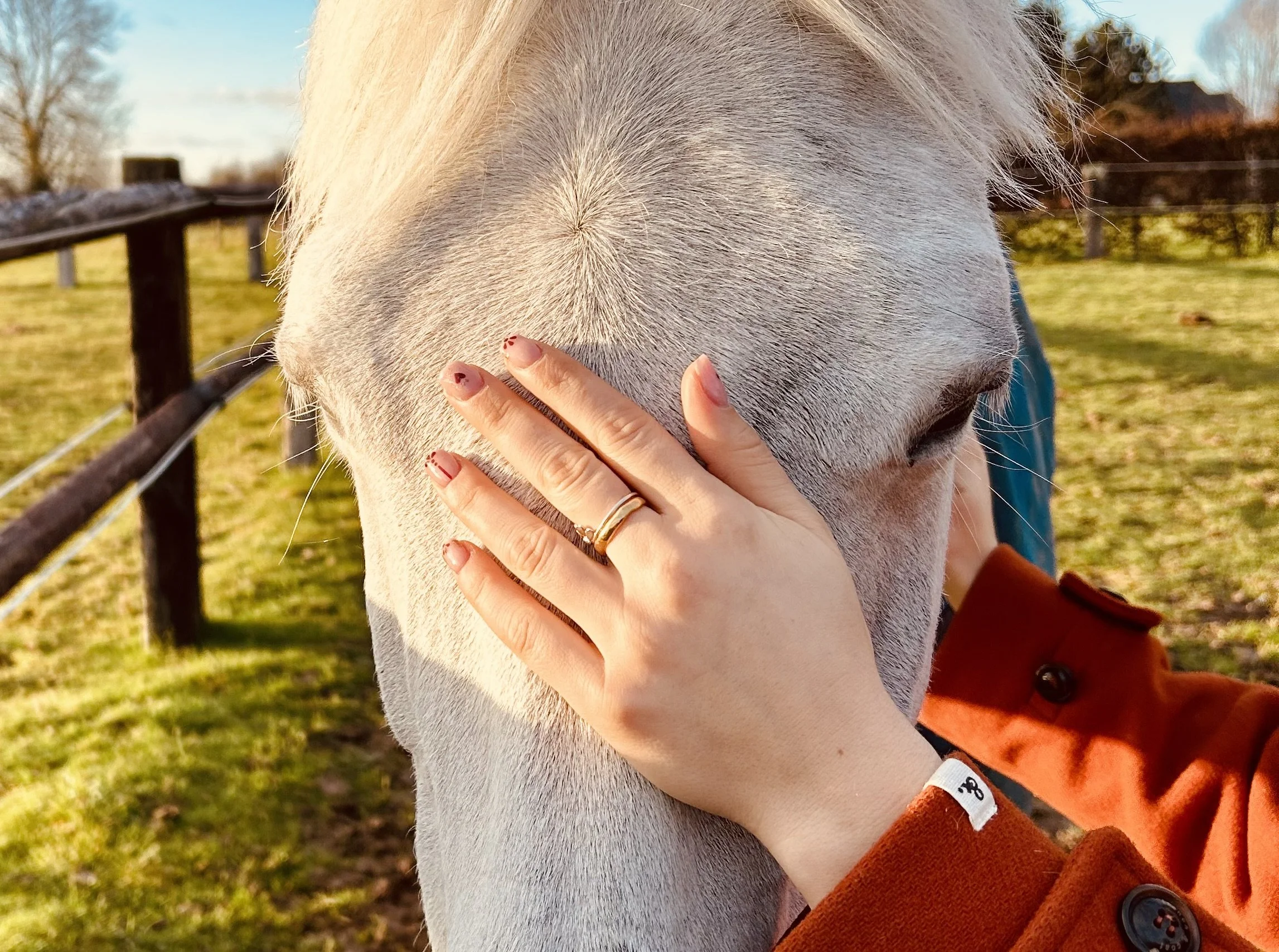 Une personne touche un cheval blanc dans un enclos en plein air sous un ciel clair.