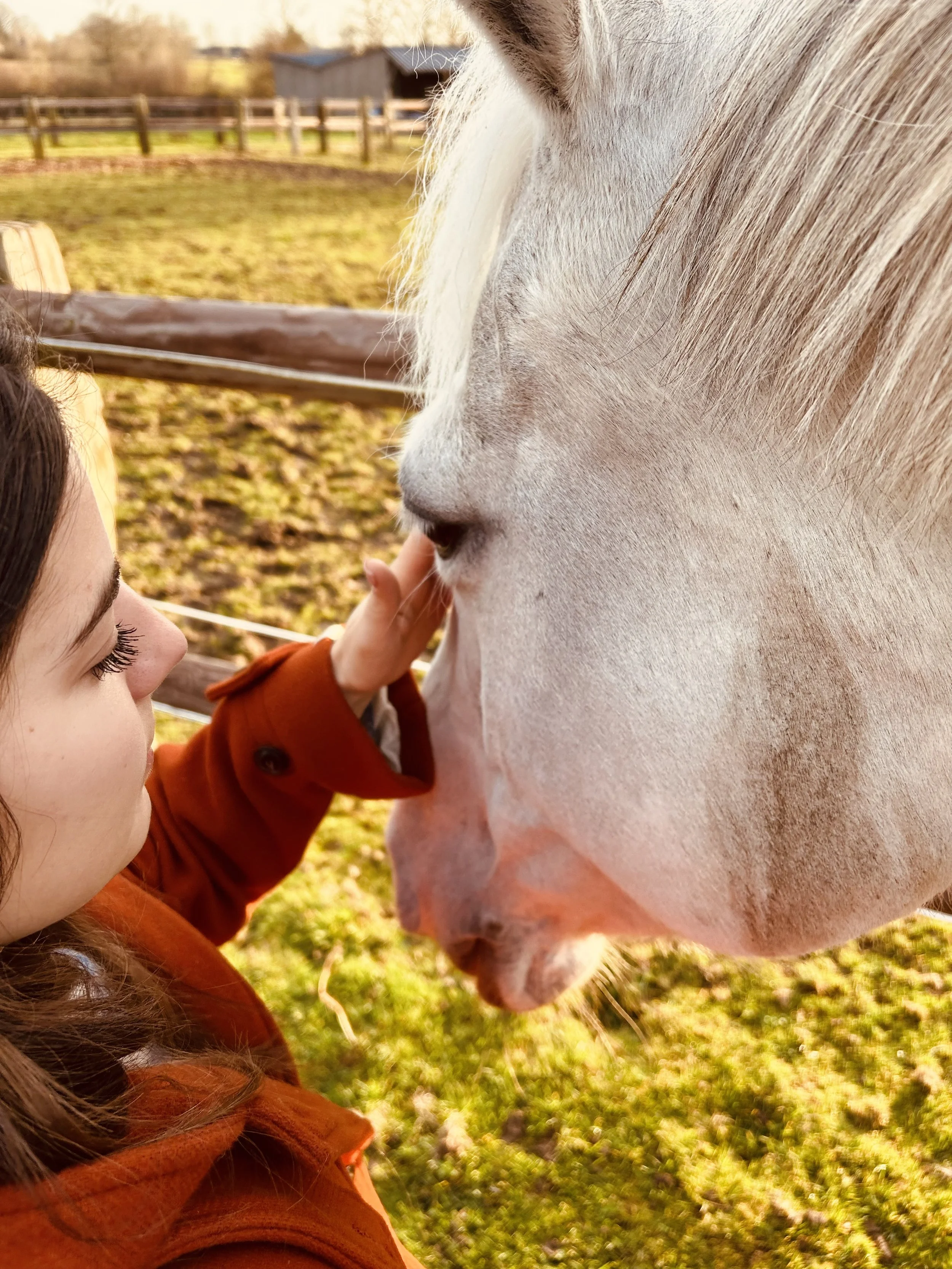 Une fille caresse la tête d'un cheval blanc dans un pré en plein air.