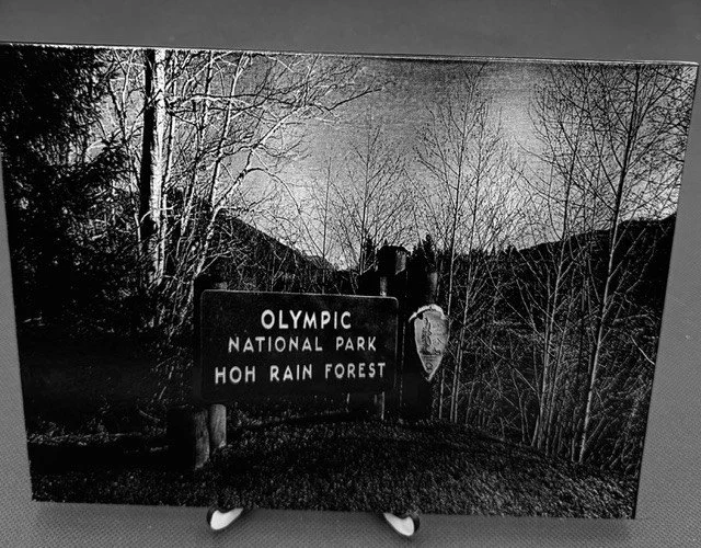 A sign for Olympic National Park and Hoh Rain Forest in a wooded area with mountains in the background.