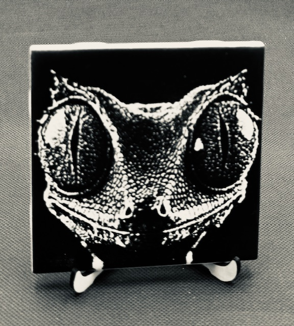 Black and white engraved artwork of a frog's face on a square canvas with small legs, placed on a textured surface.