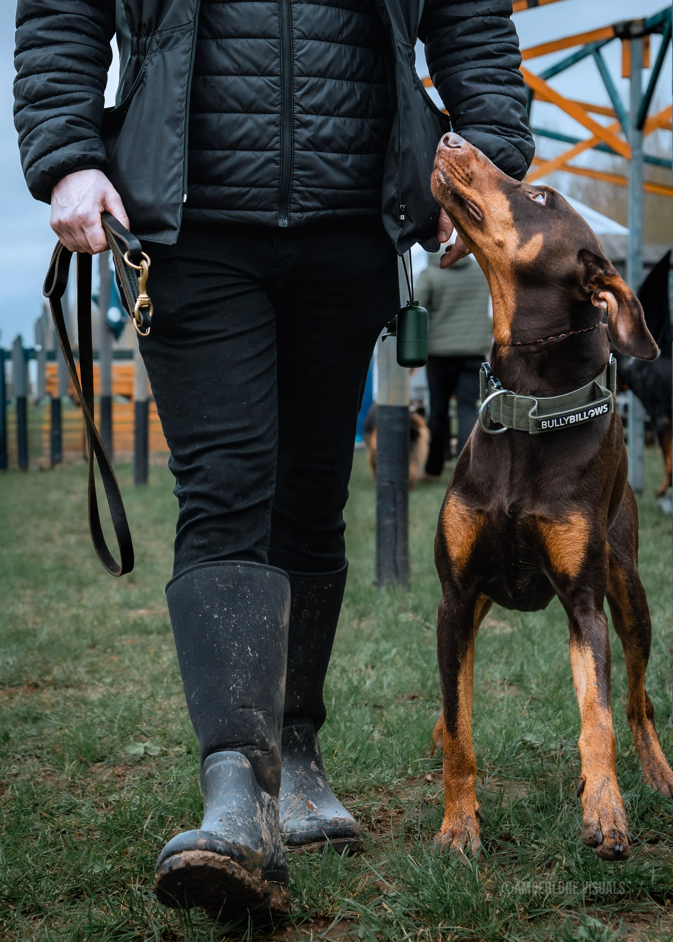 DogTor Training Atlas_amberlore.jpg