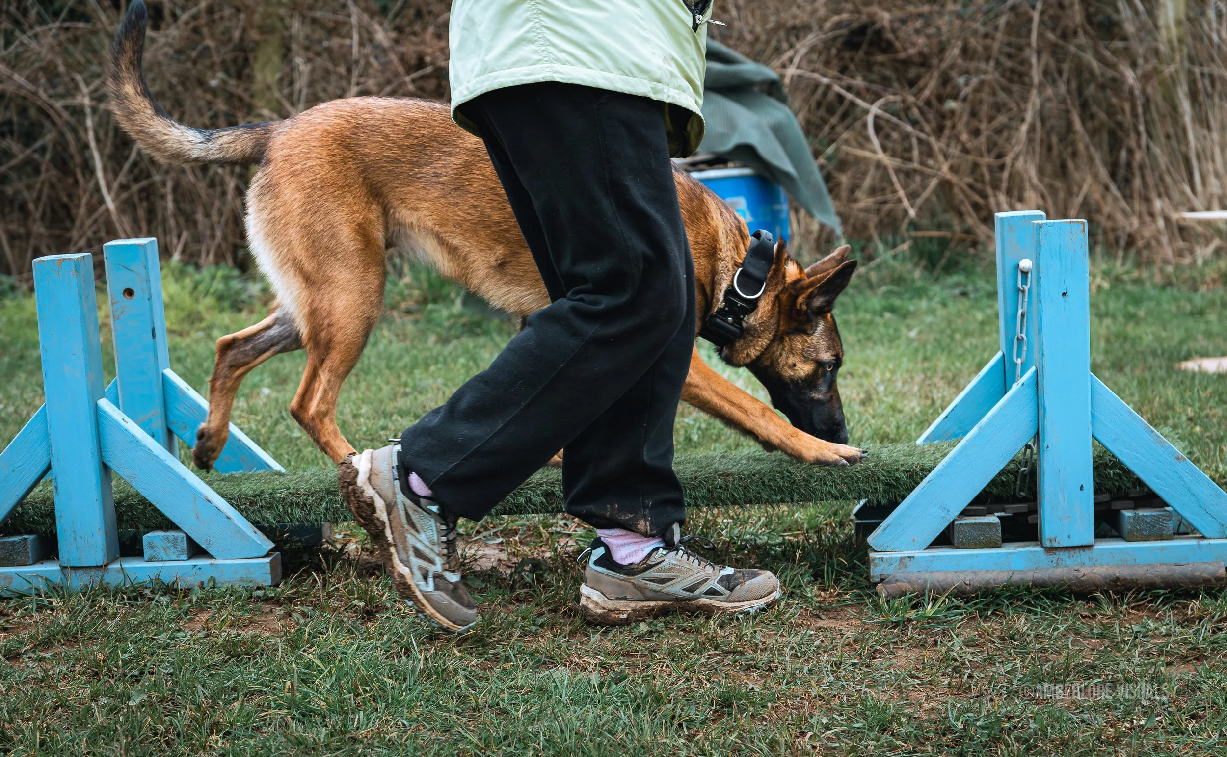 Mali Training_amberlore.jpg