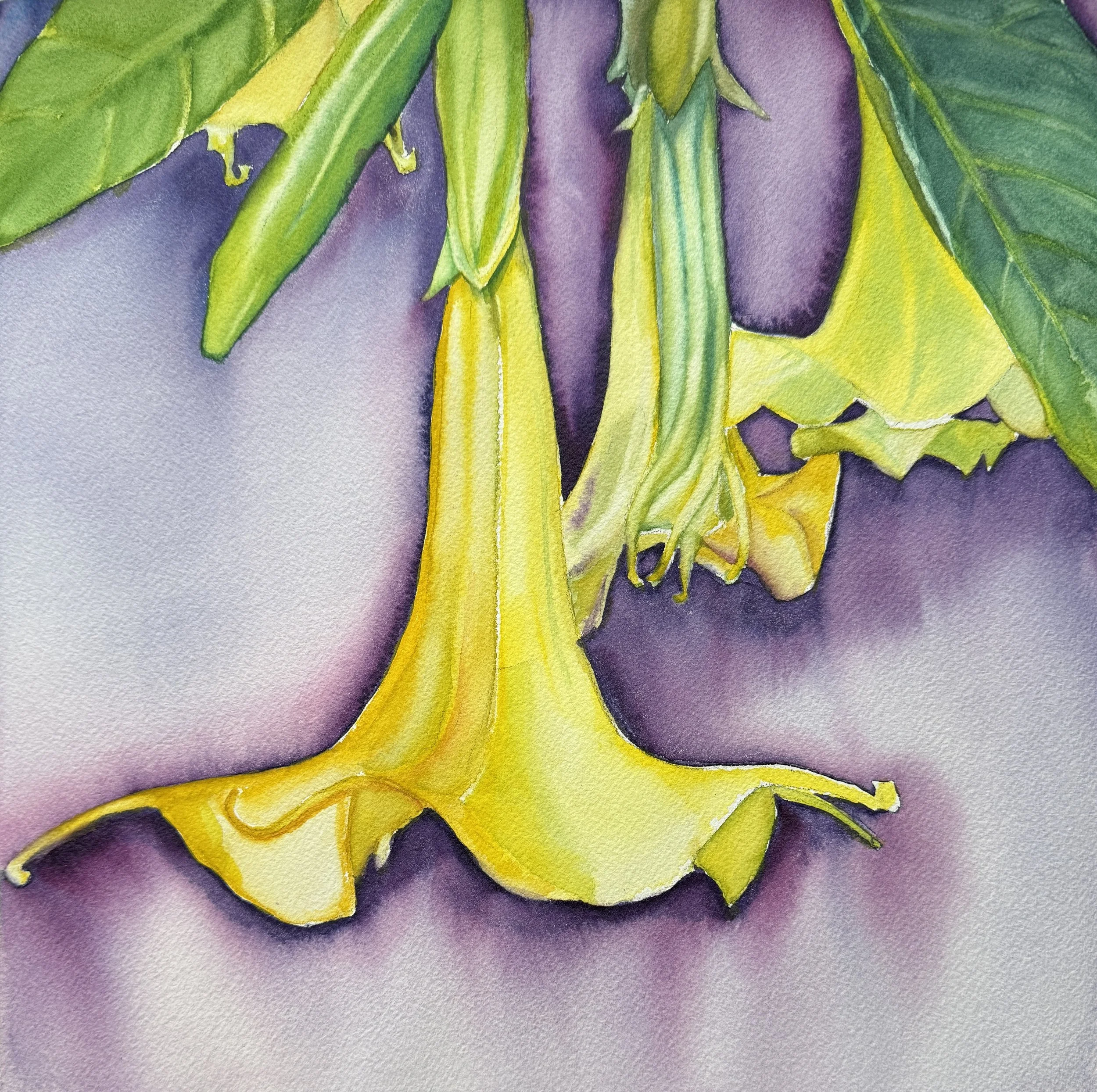 Yellow Trumpet Flower with Purple