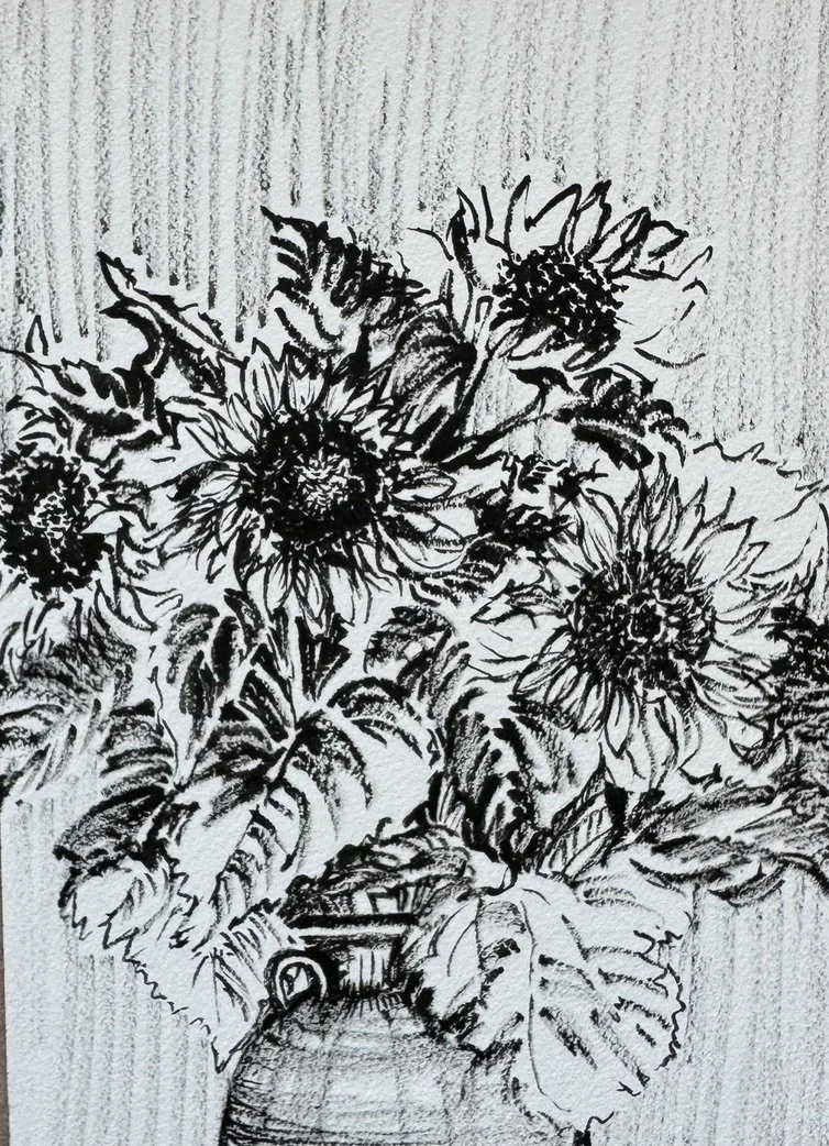 Midland Sunflowers
