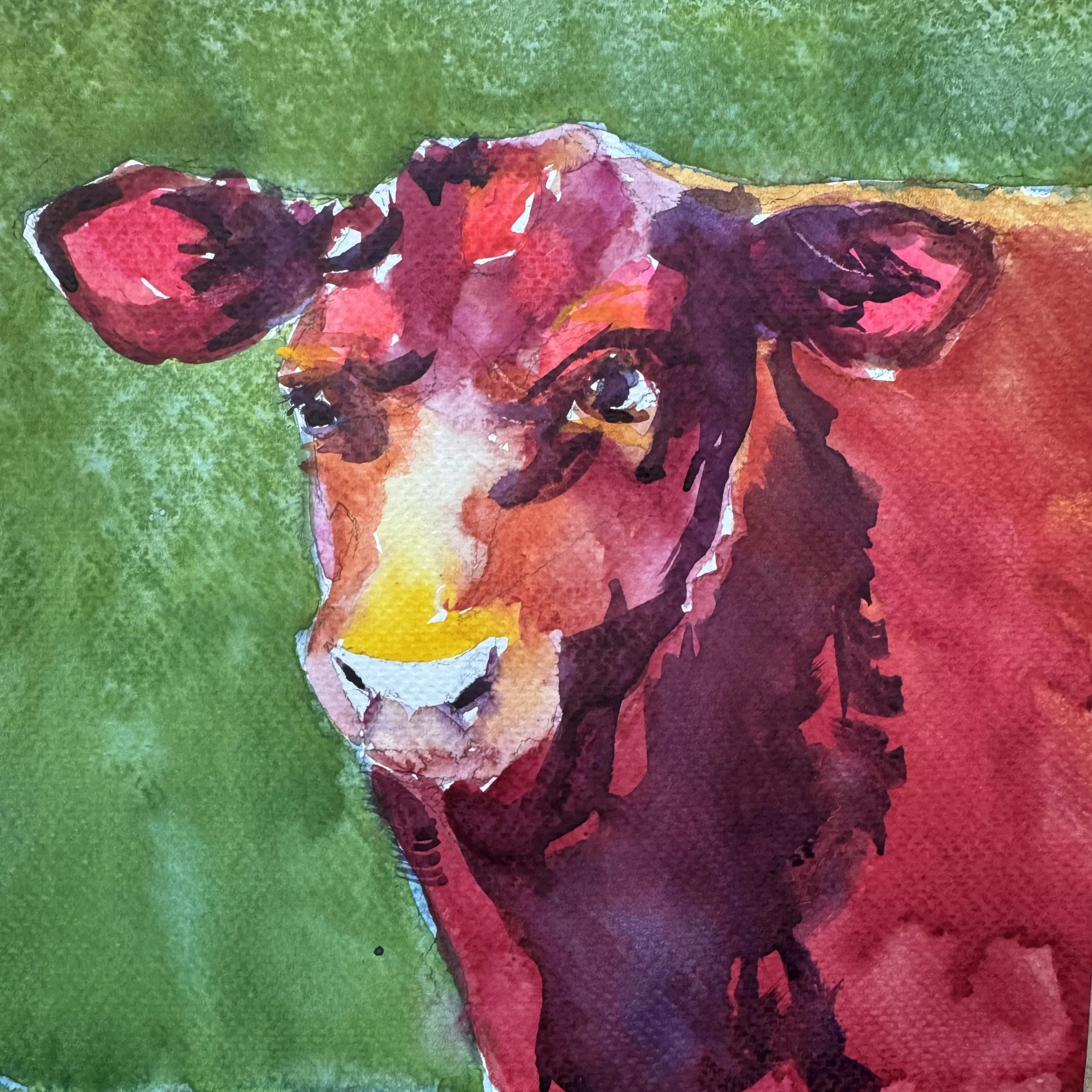 The Very Worried Cow