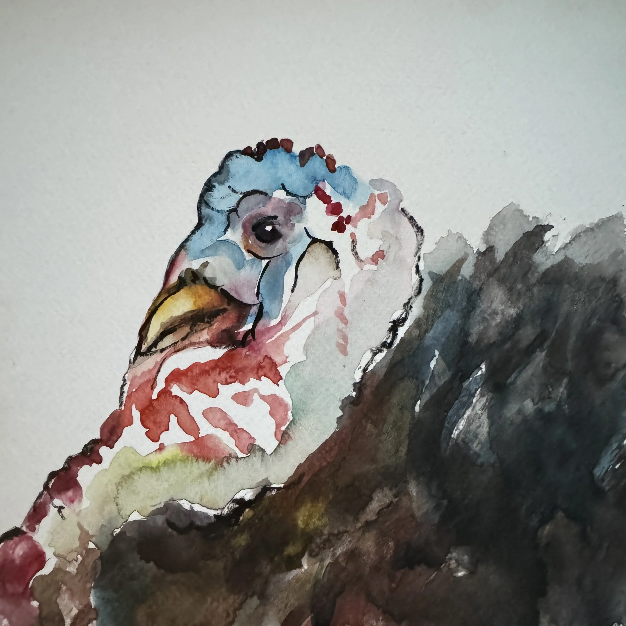 Turkey