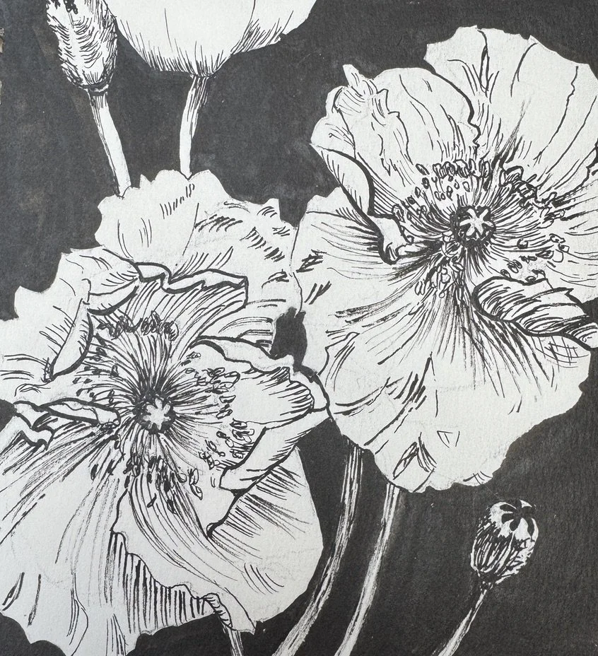 Cali Poppies