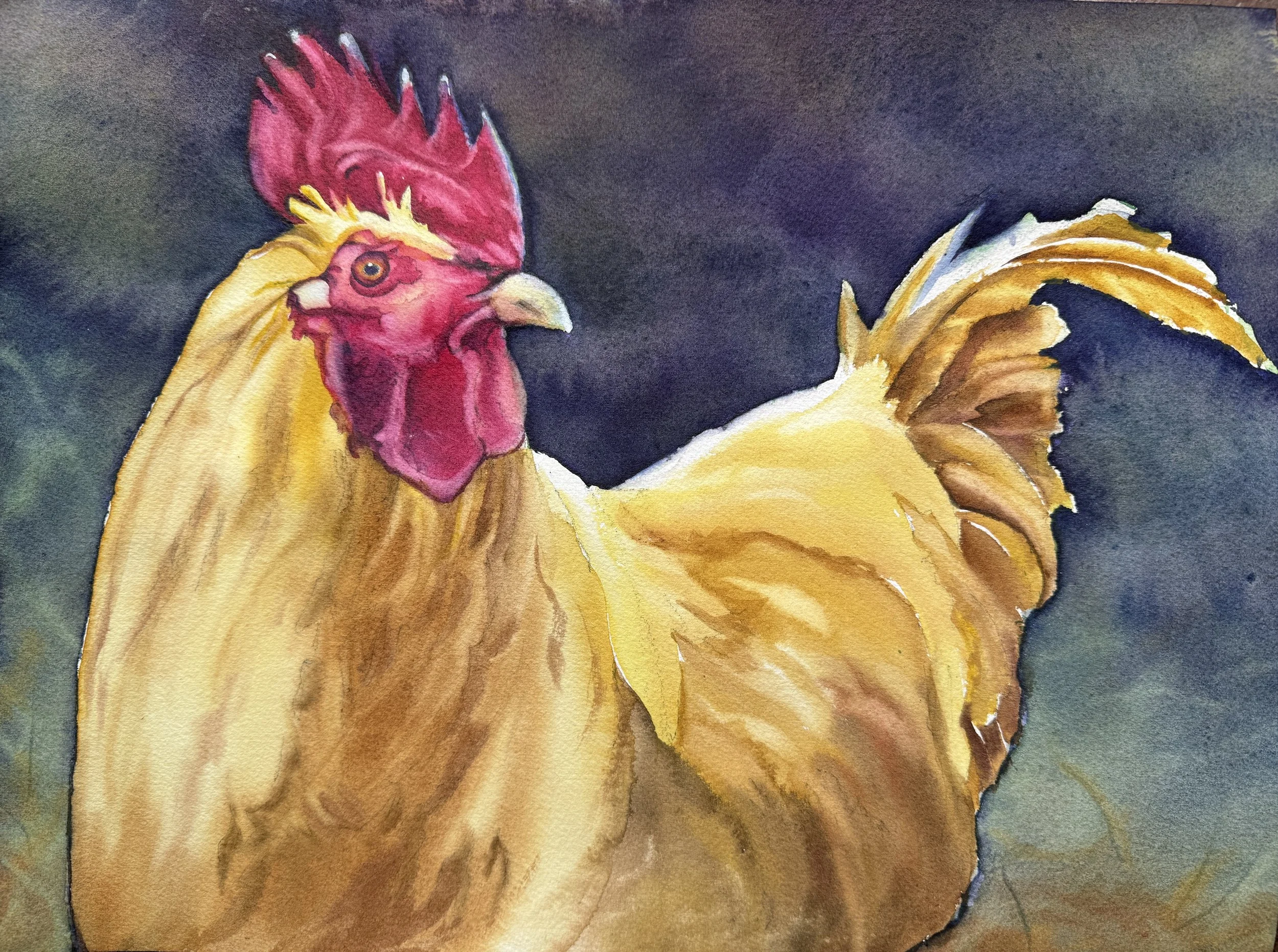 Crazy Chicken