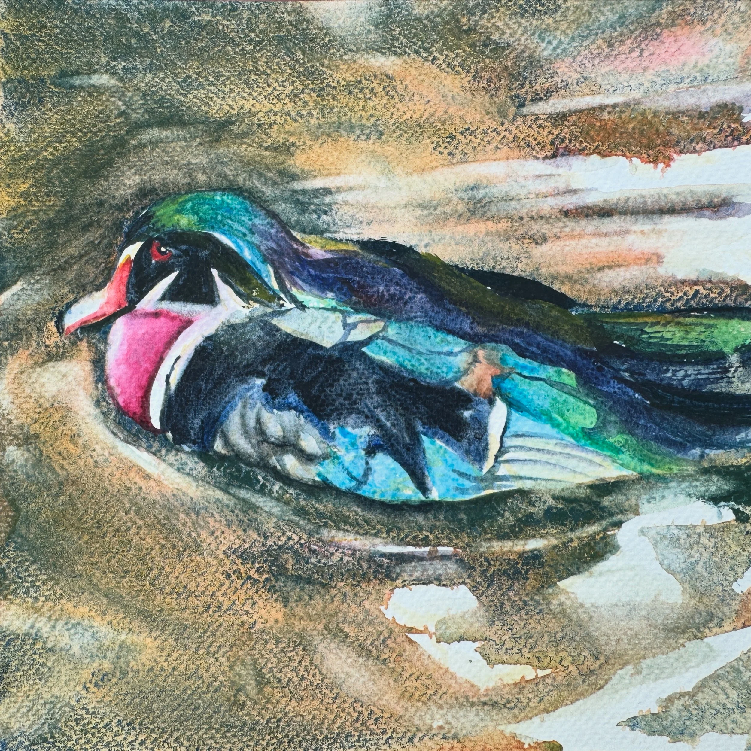 Wood Duck
