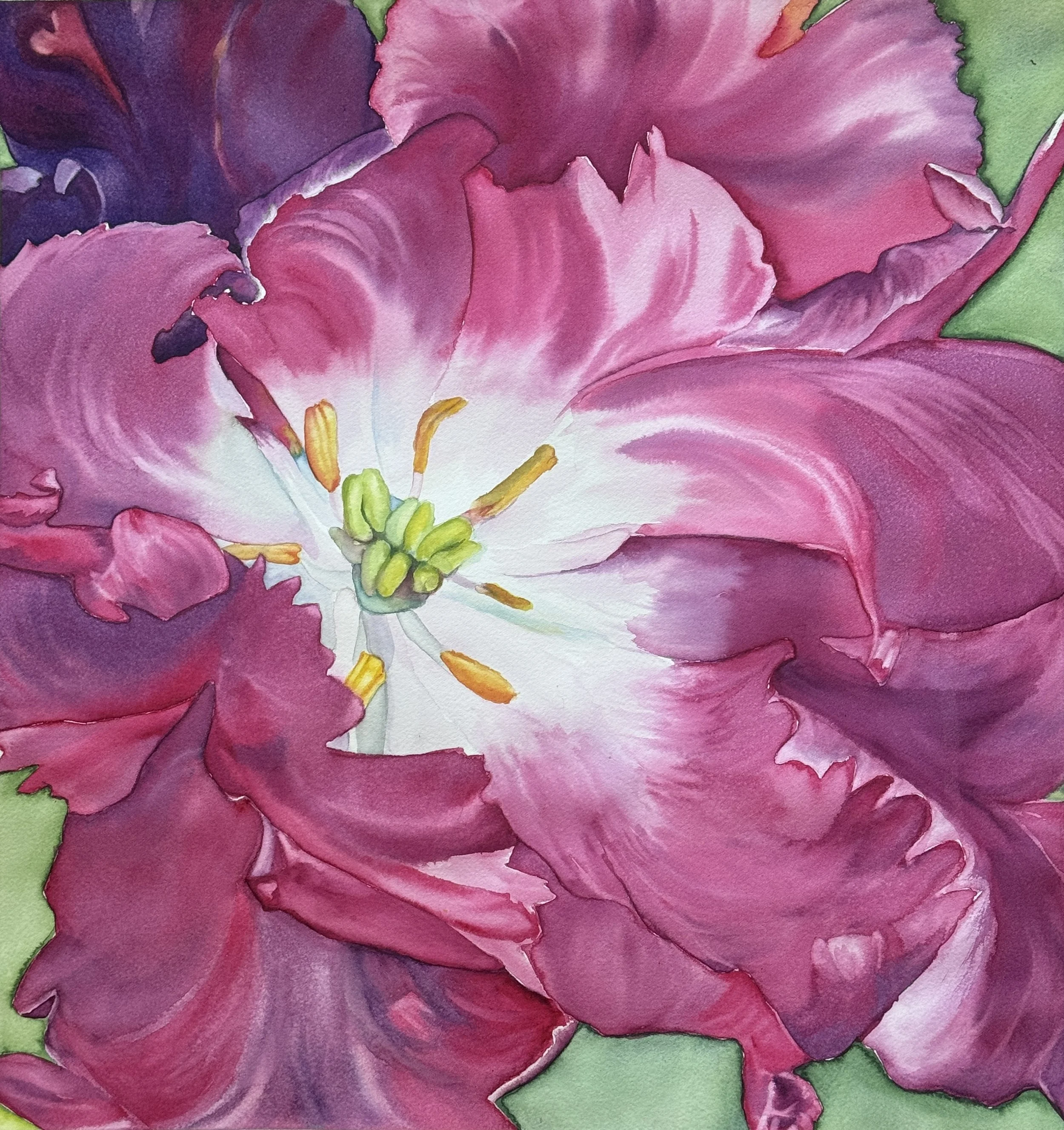 Violet Tulip Center