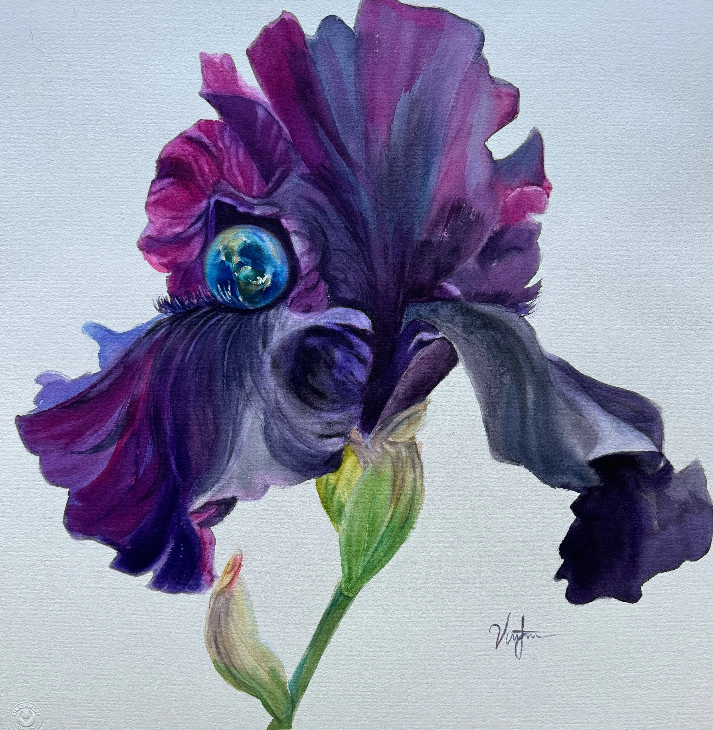 Iris and Earth