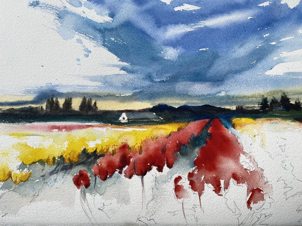 Skagit Tulips