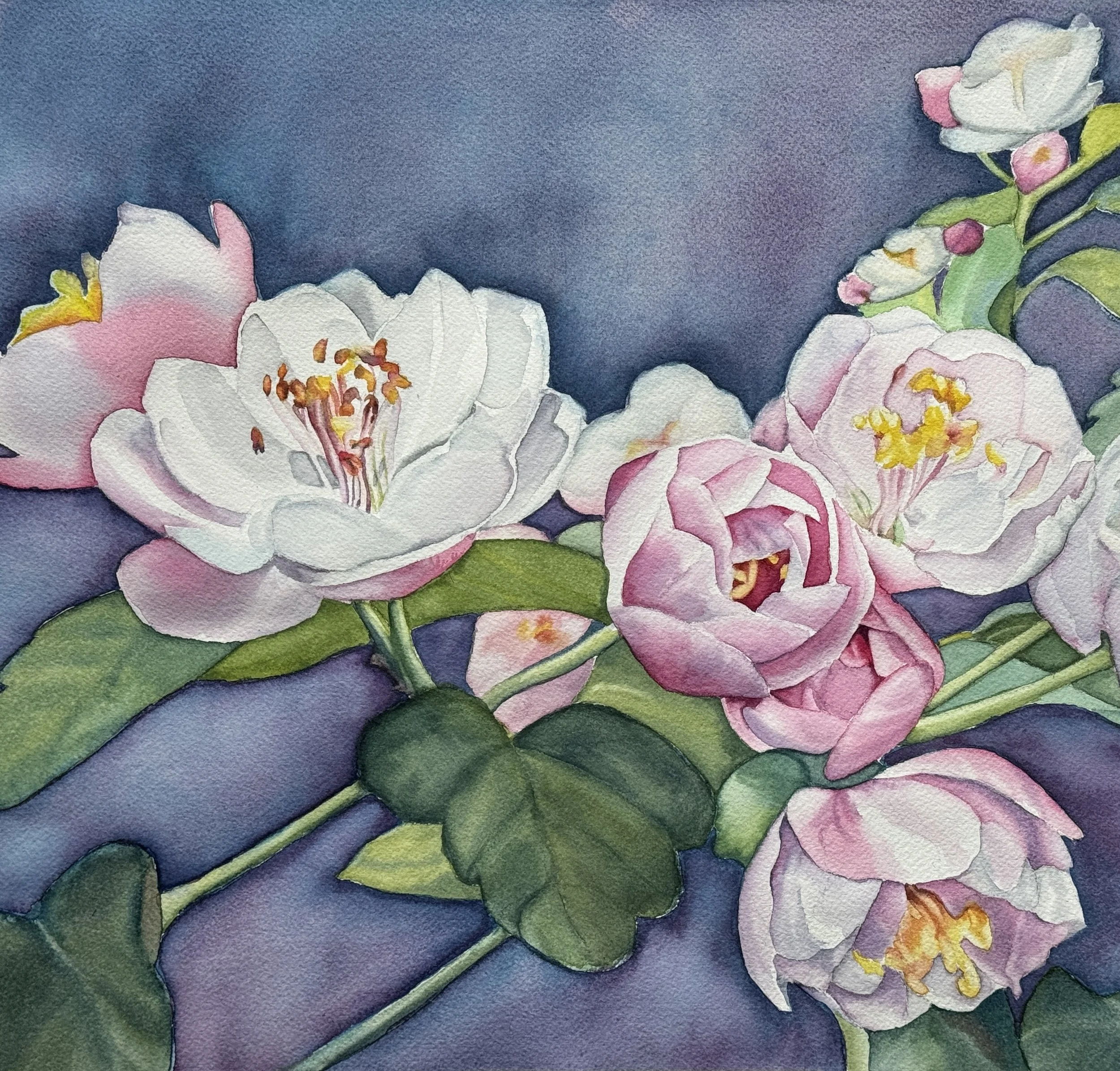 Tiny Pink Roses