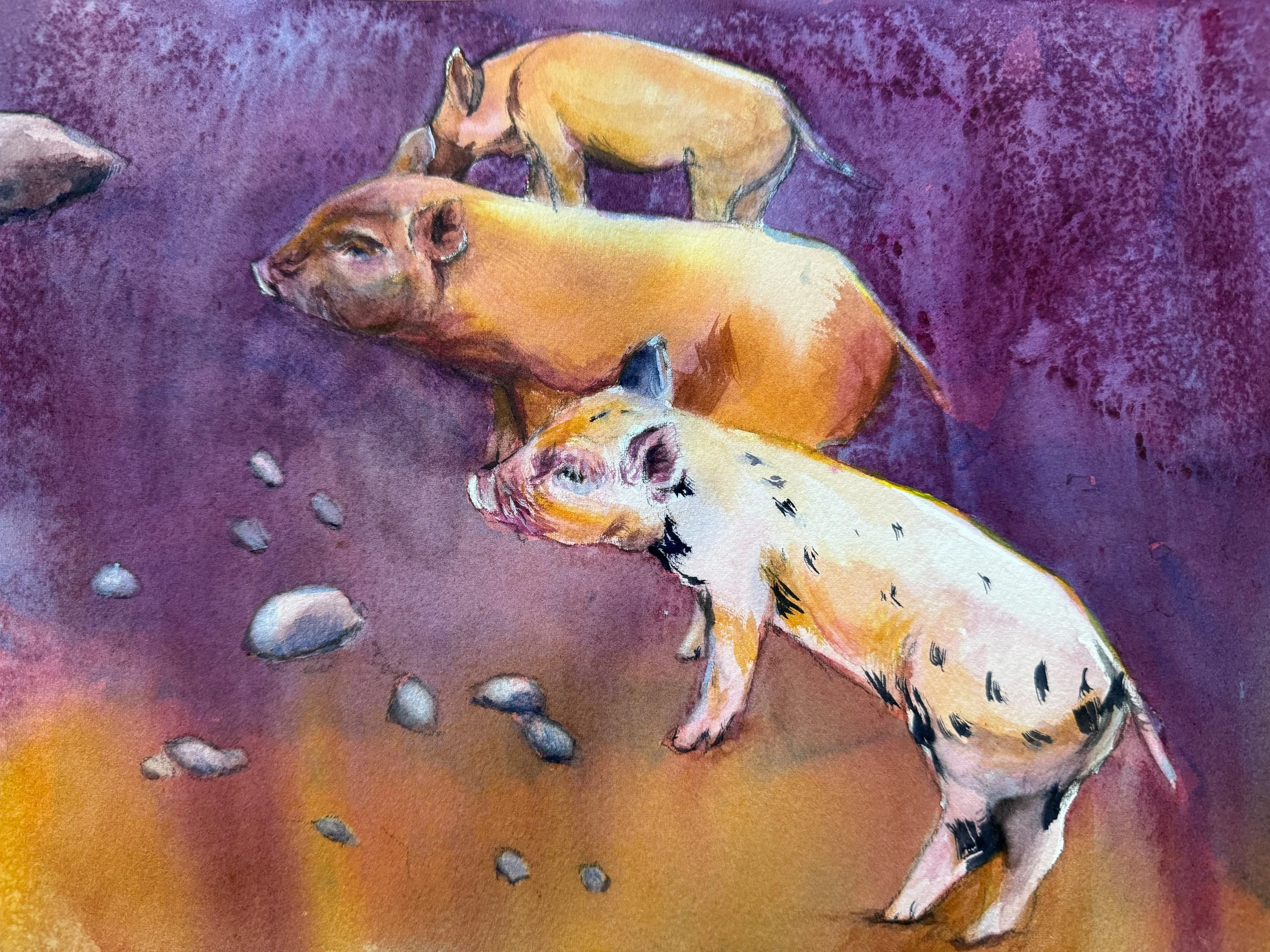 Three Little Pigs