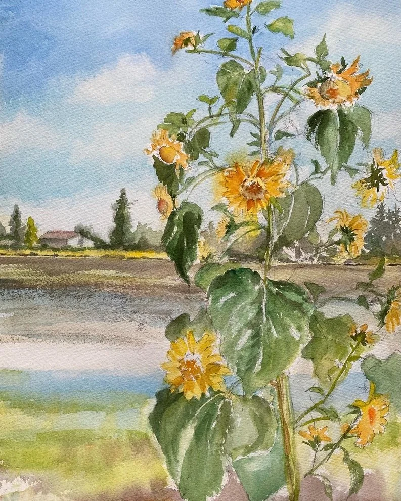 Sunflowers