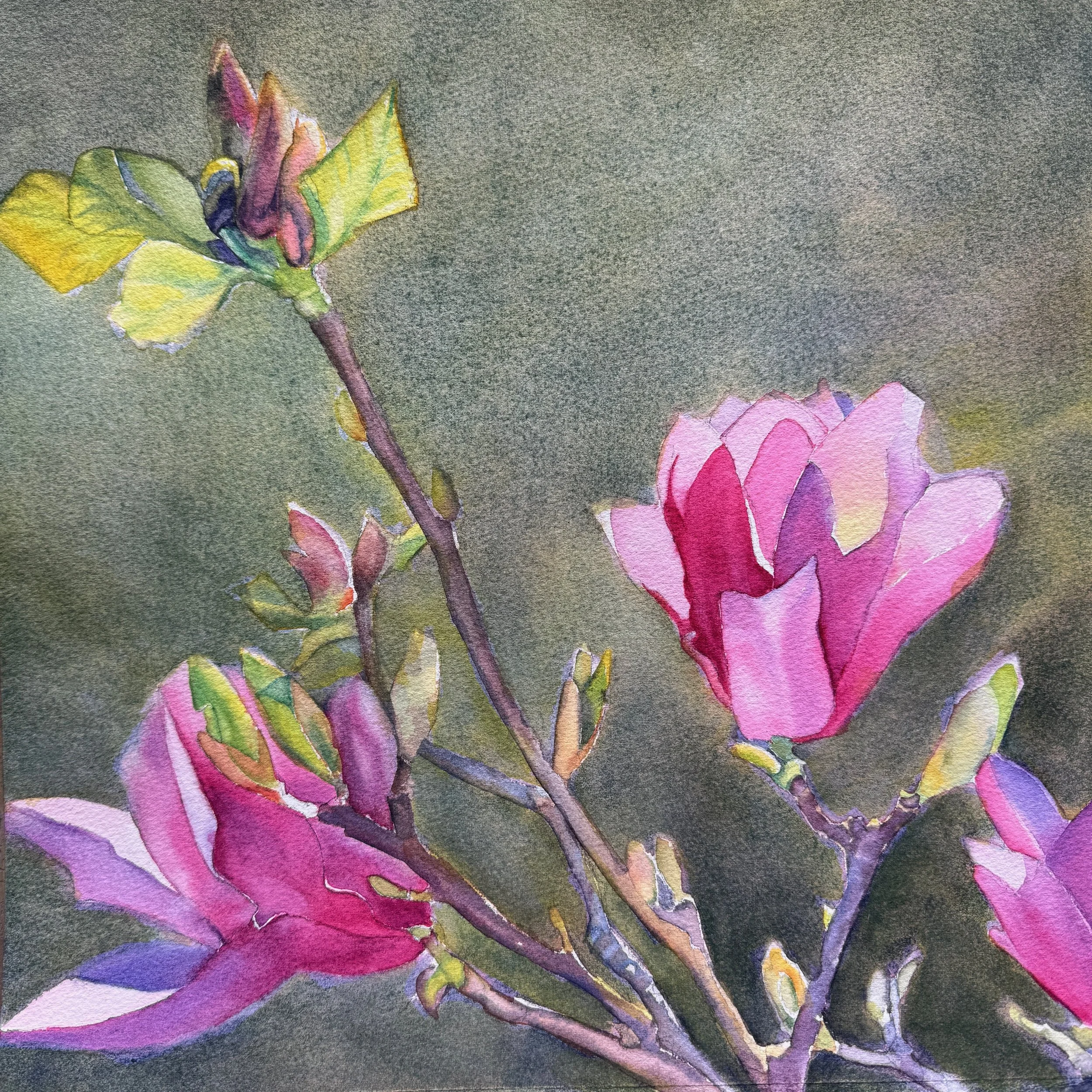Pink Magnolia