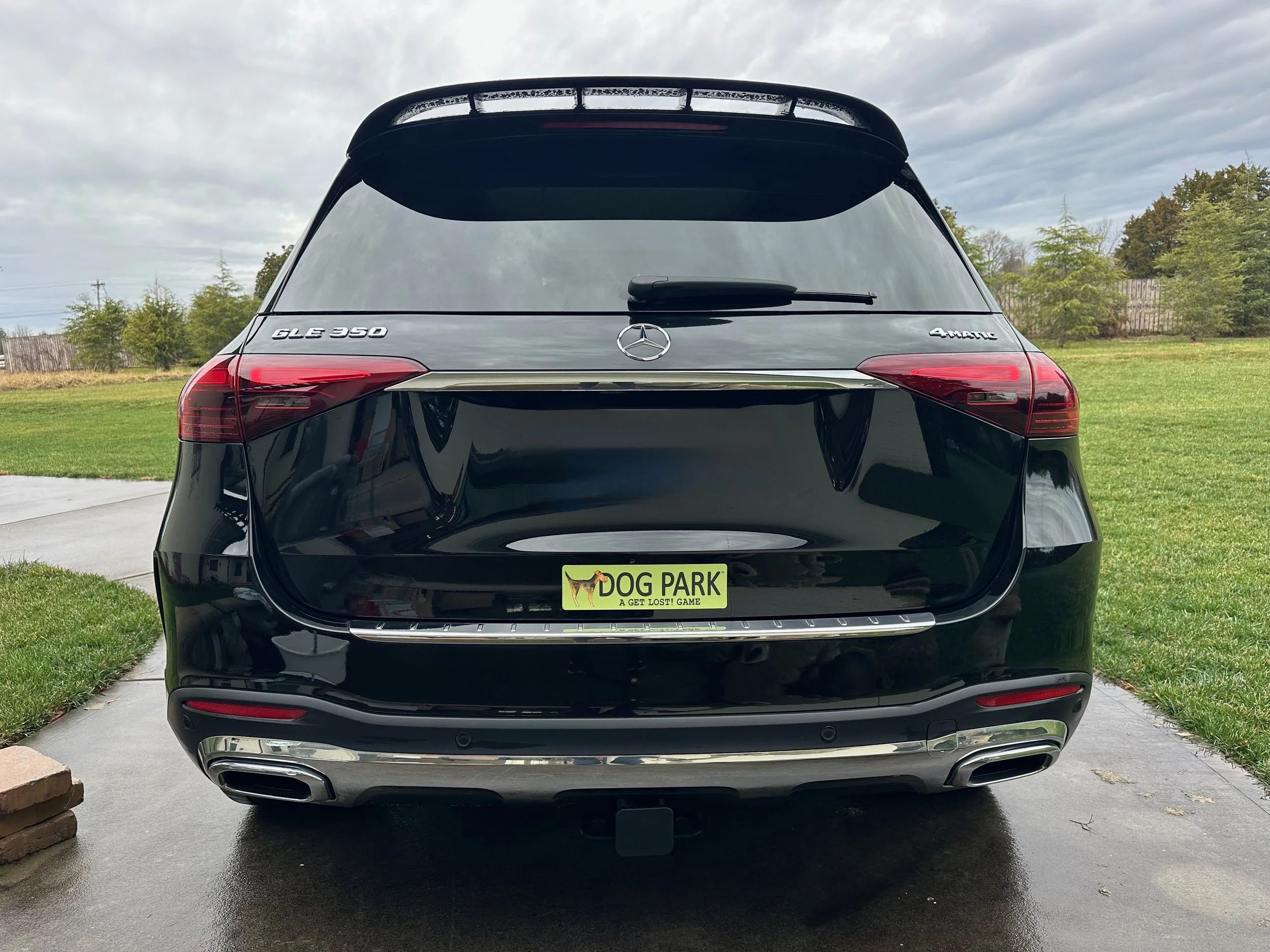 Dog Park Game Logo Car Magnet
