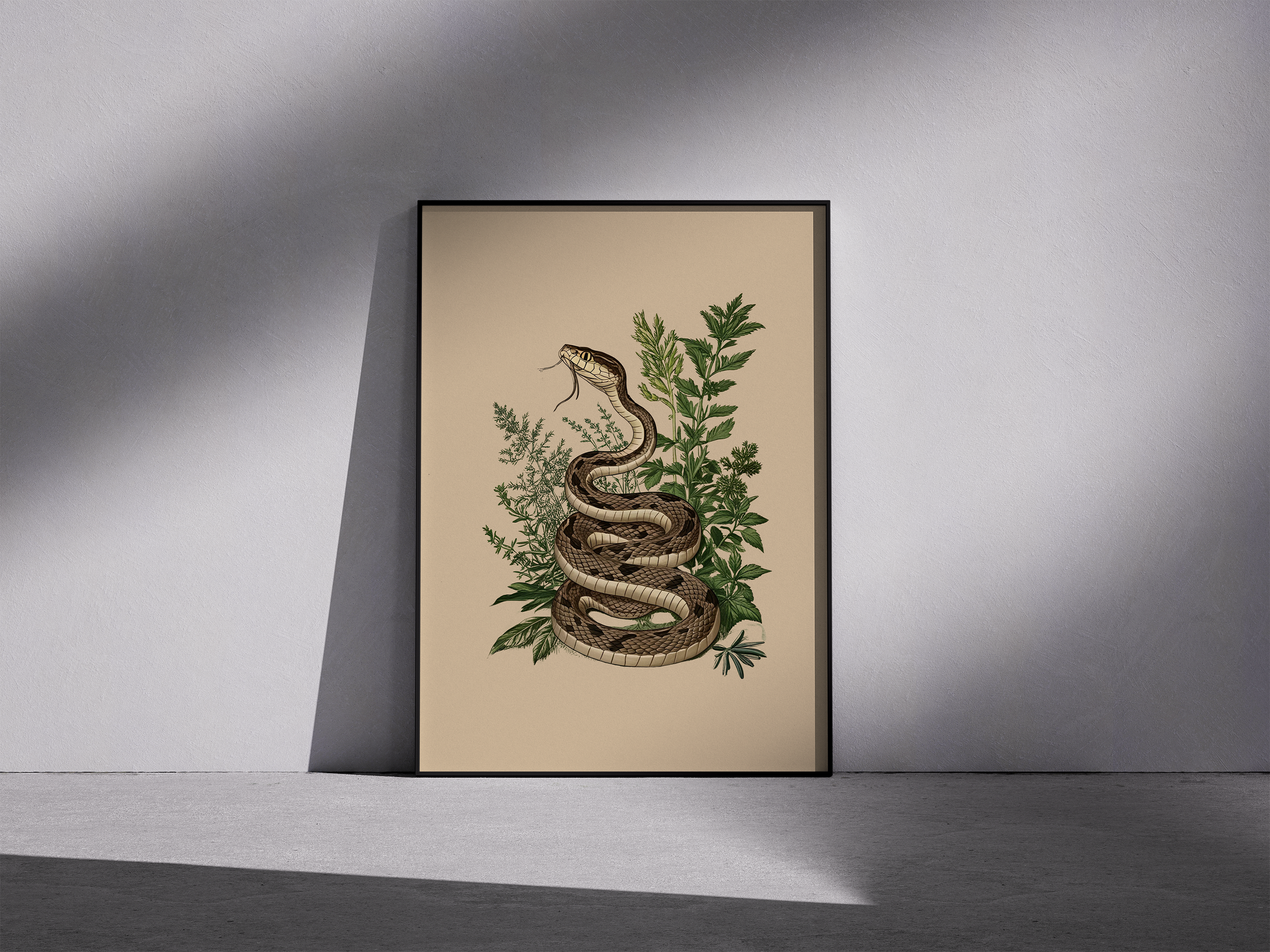 Vintage Snake Botanical Print – Serpent Framed Art with Herbal Illustration