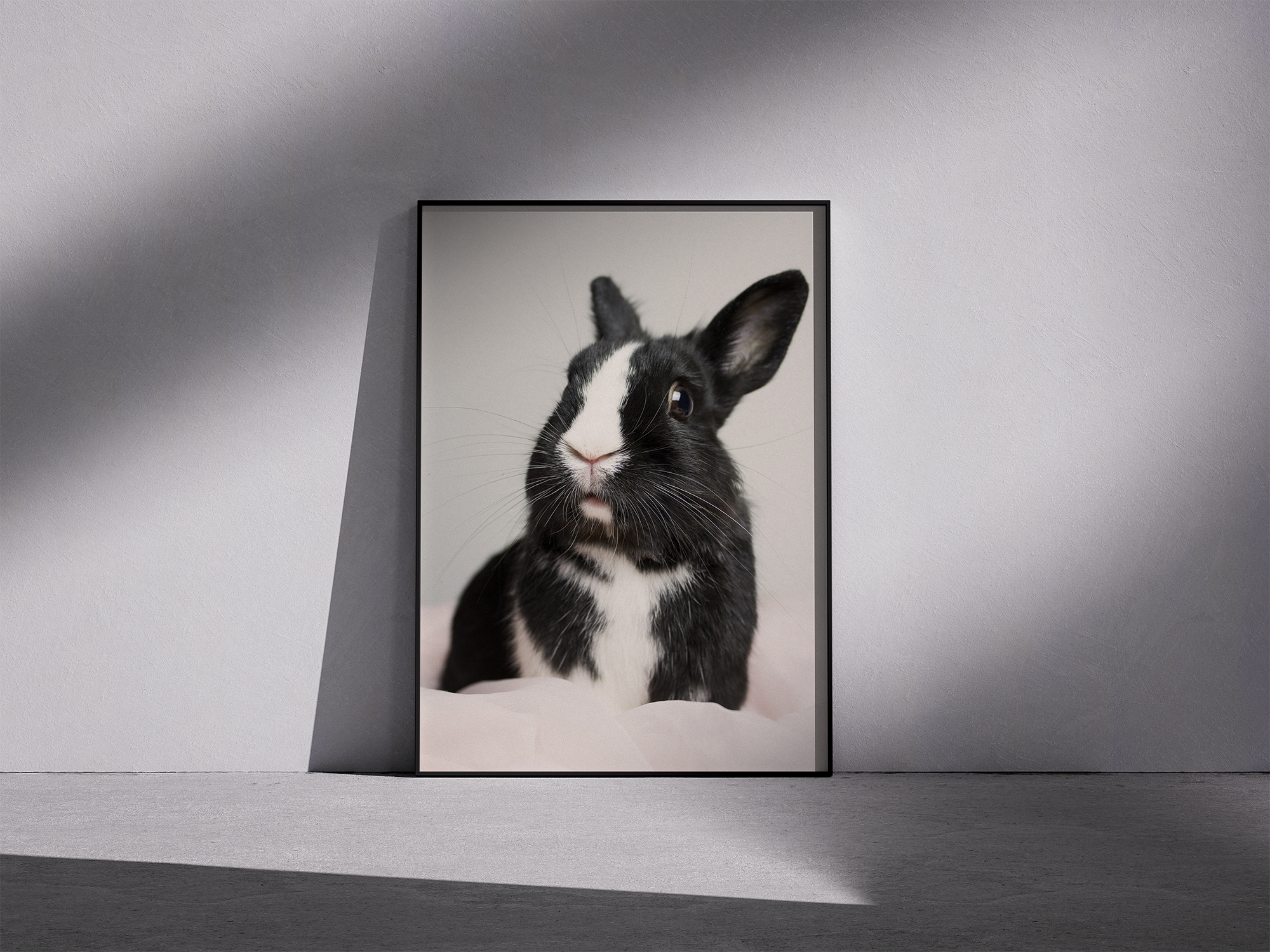 Cute Bunny Photography - Framed Wall Decor Print For Animal Lovers