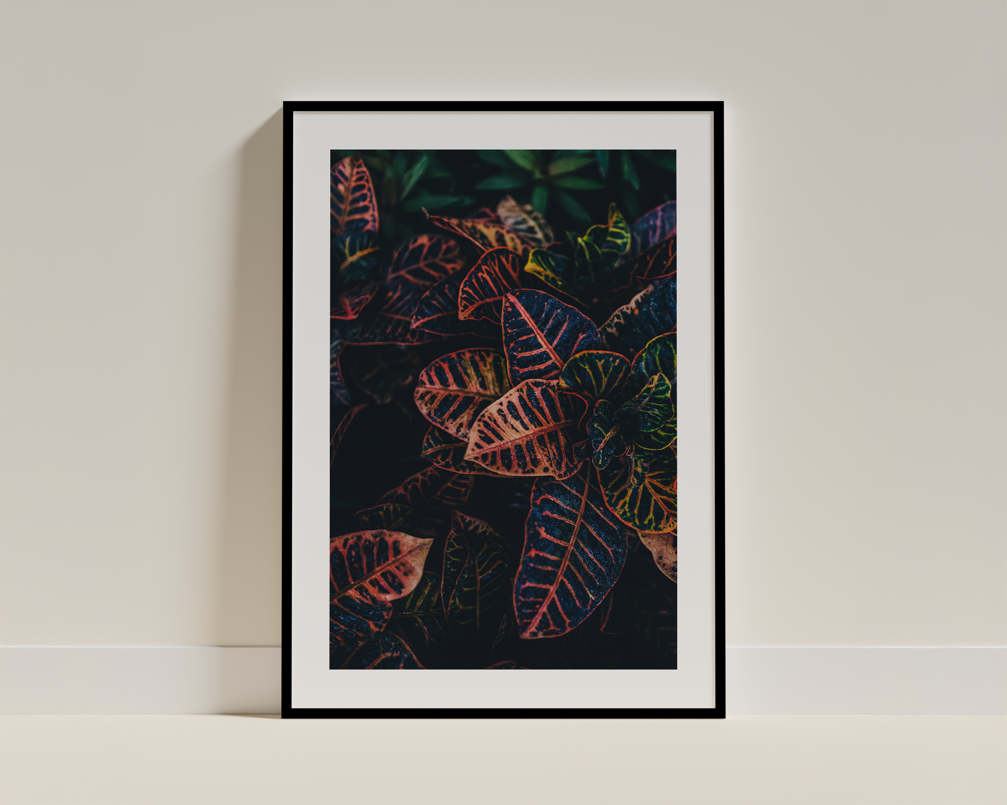 Color-Rich Croton Leaves – Striking Nature Framed Poster for Modern Homes