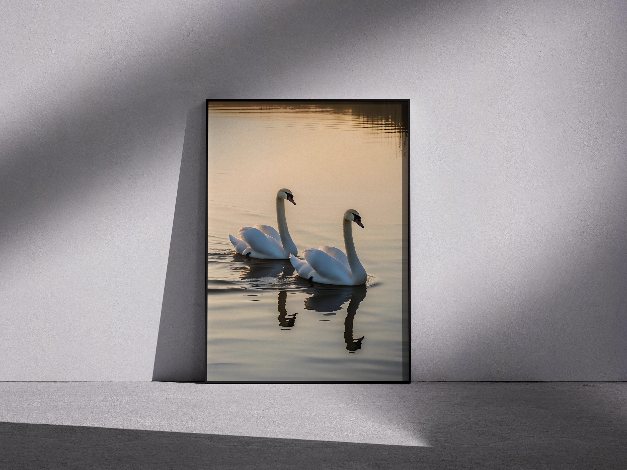 Swans Gliding at Sunset - Romantic Nature Scene in Frame