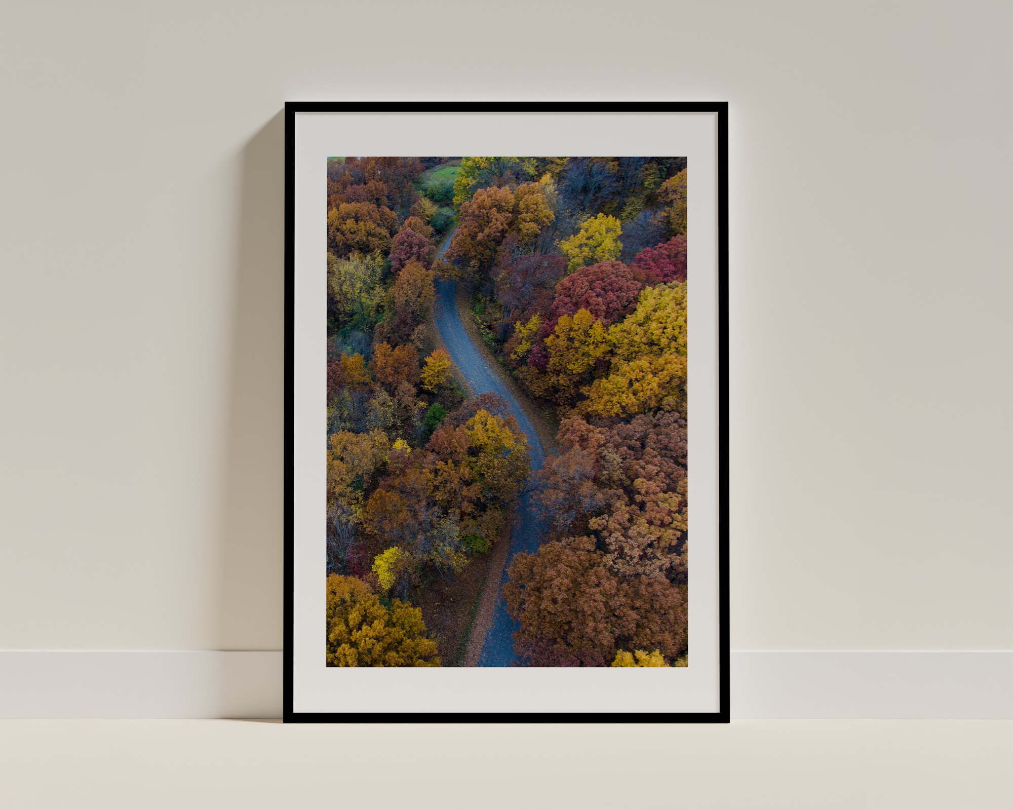 Golden Woods – Framed Fall Foliage Photography Featuring a Serene Curved Trail