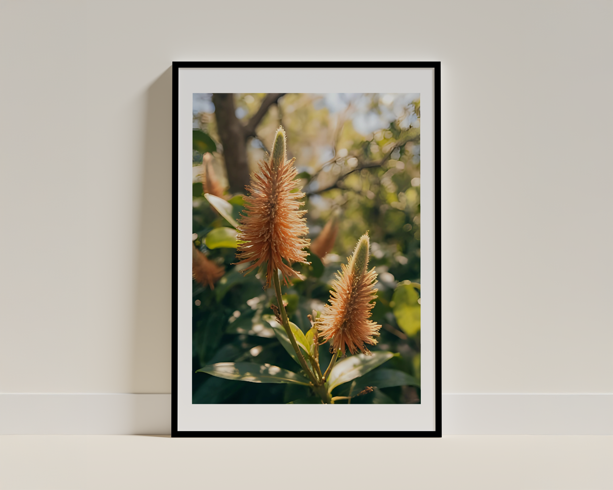 Blooming Fuzzy Flowers - Framed Poster
