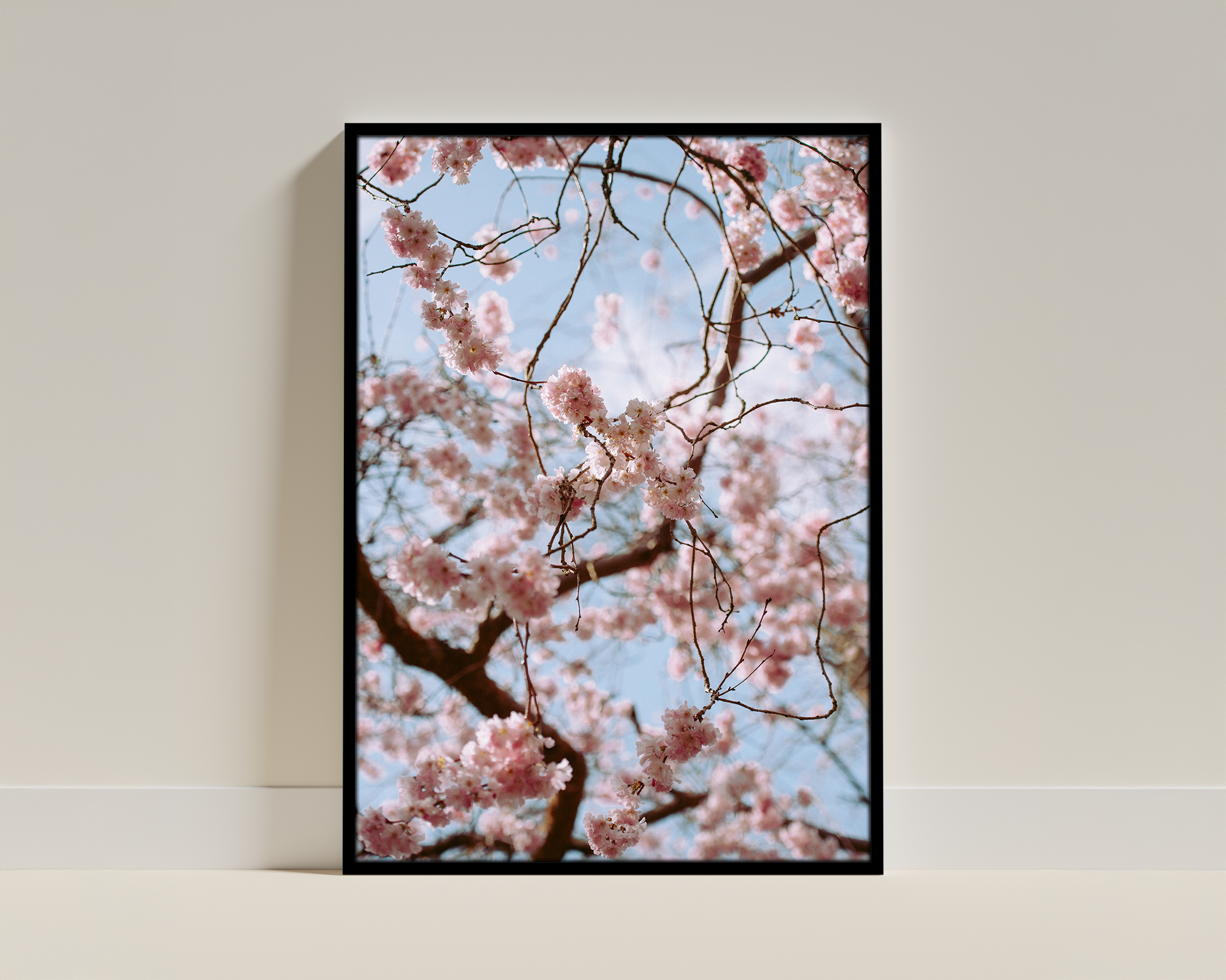Petal Chorus – Spring Tones – Framed Botanical Scene