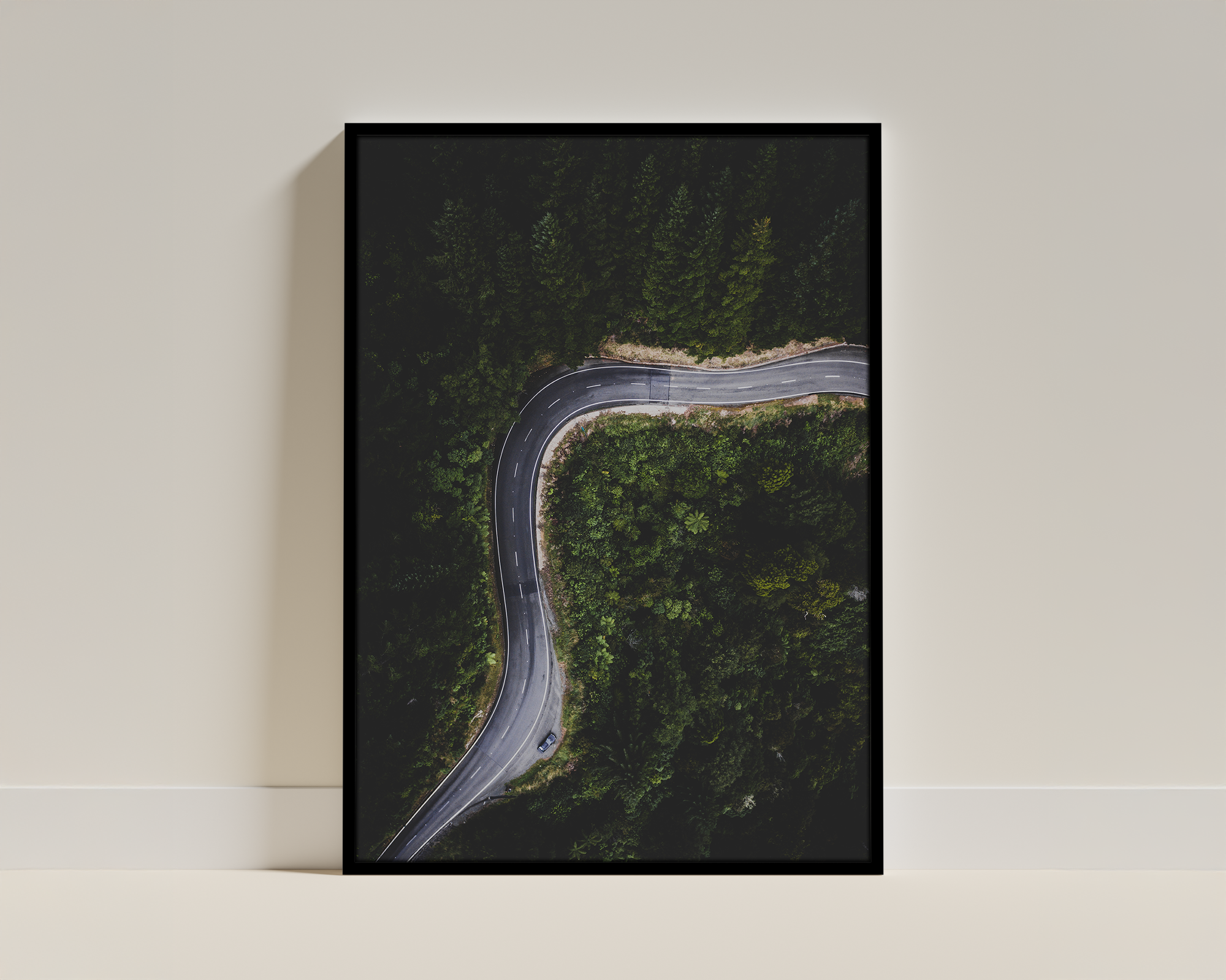 Forest Highway – Riwaka, New Zealand – Framed Print