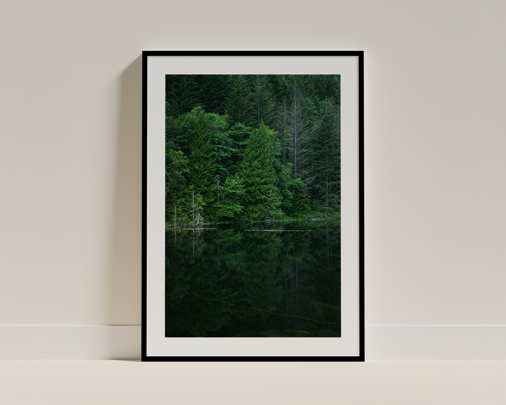 Still Forest Reflections – Framed Nature Photography Wall Art
