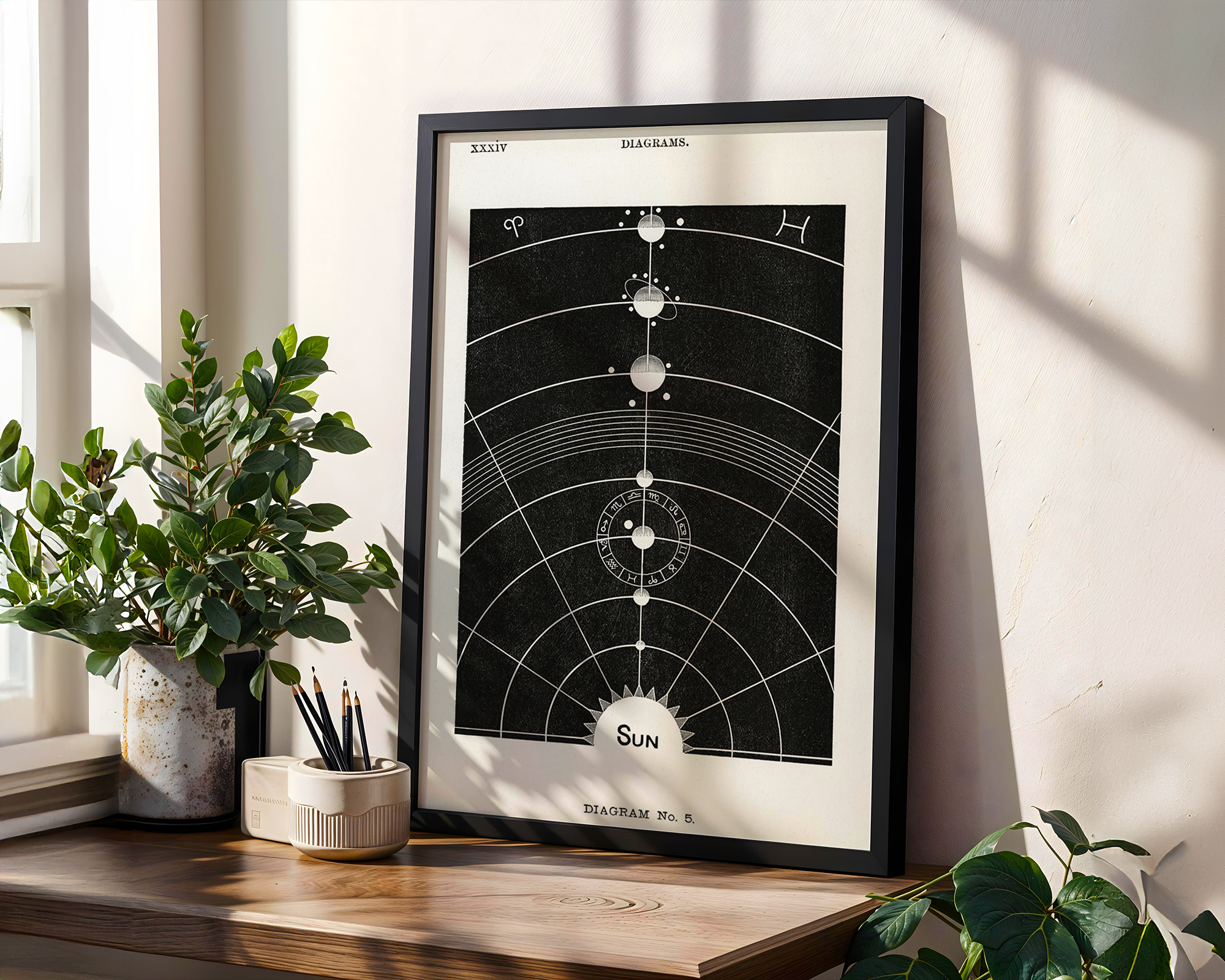 Solar Biology by Hiram Erastus Butler (1841–1916)