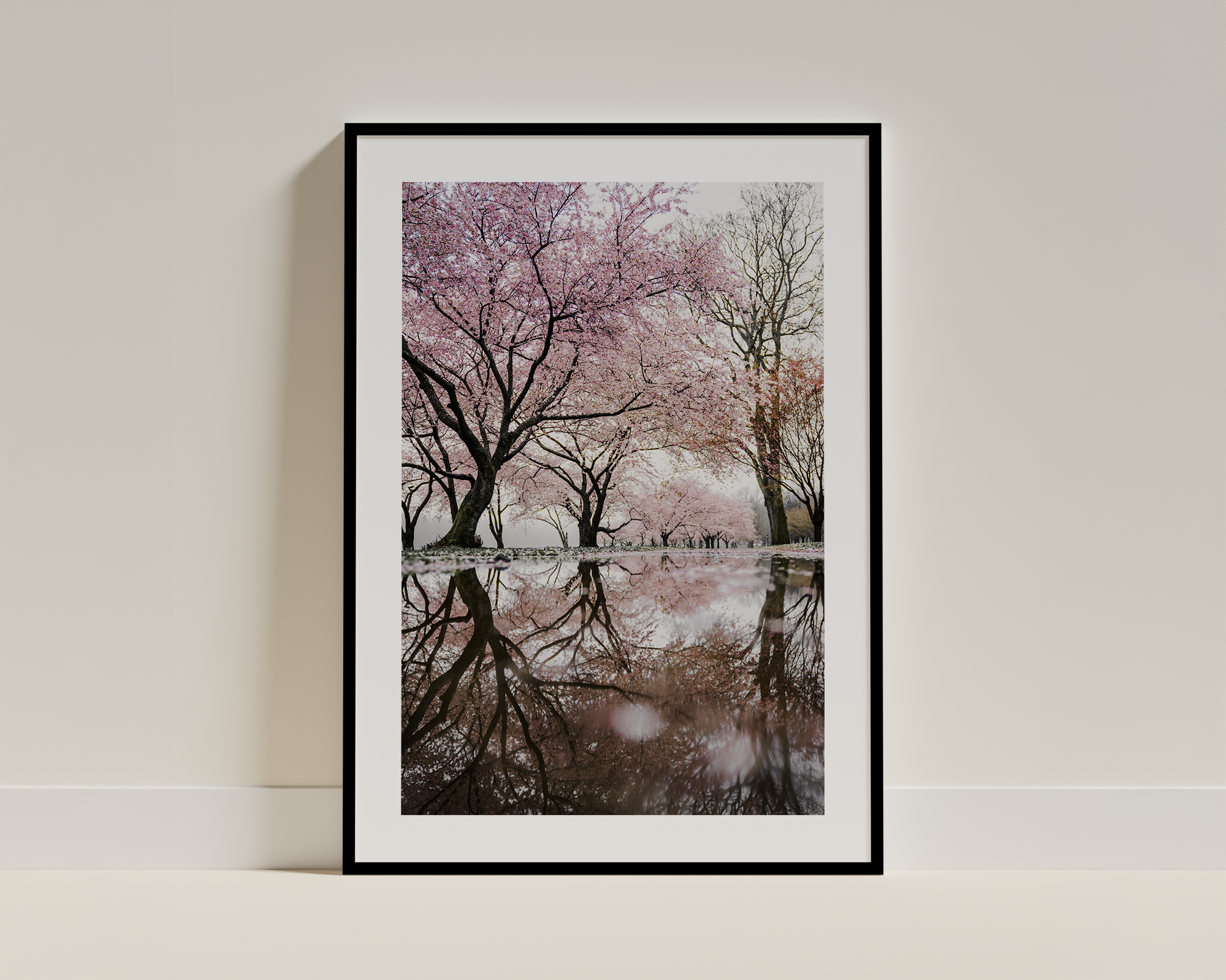 Cherry Blossom Reflection – Tranquil Nature Framed Wall Art
