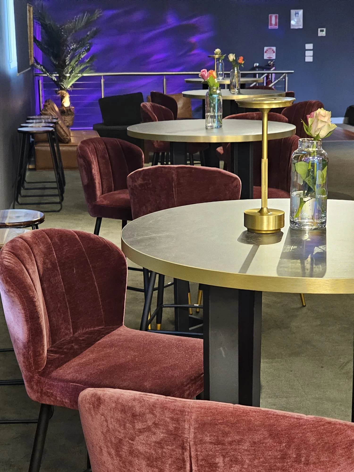 A cozy seating area inside a restaurant or cafe with pink velvet chairs, round tables, and vases with flowers, with a purple-lit wall in the background.