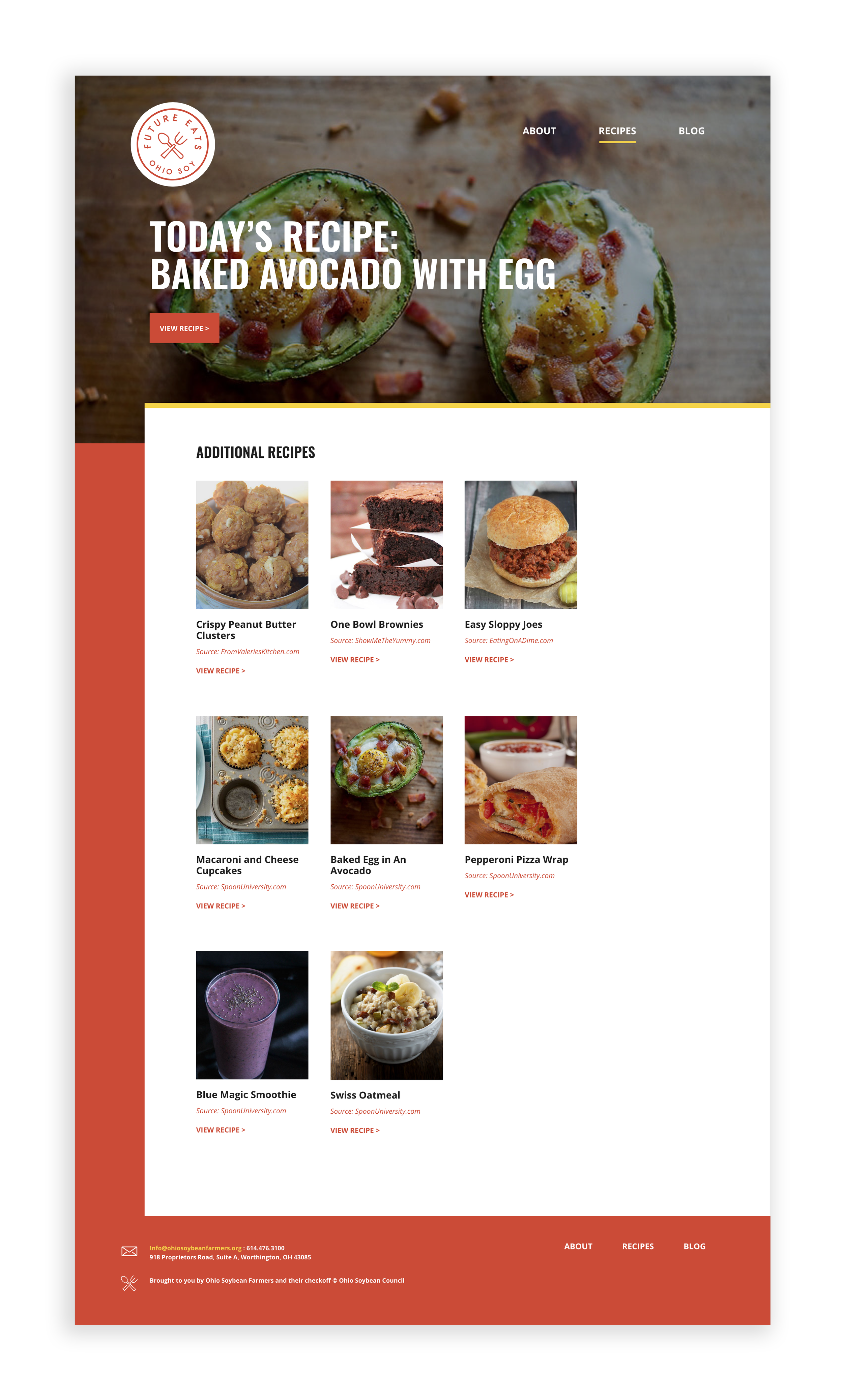 Future Fans website design and digital content system
