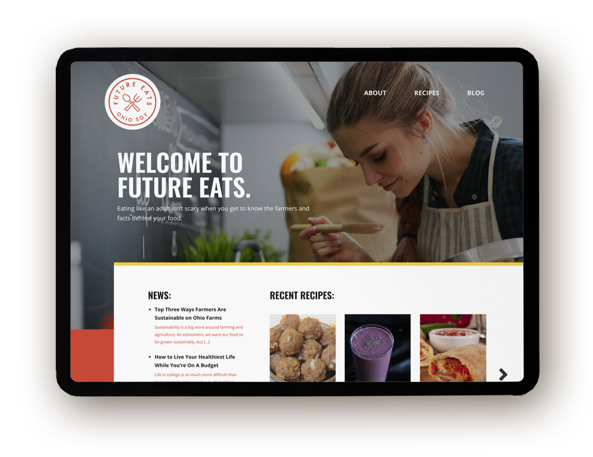 Future Fans responsive website design on tablet