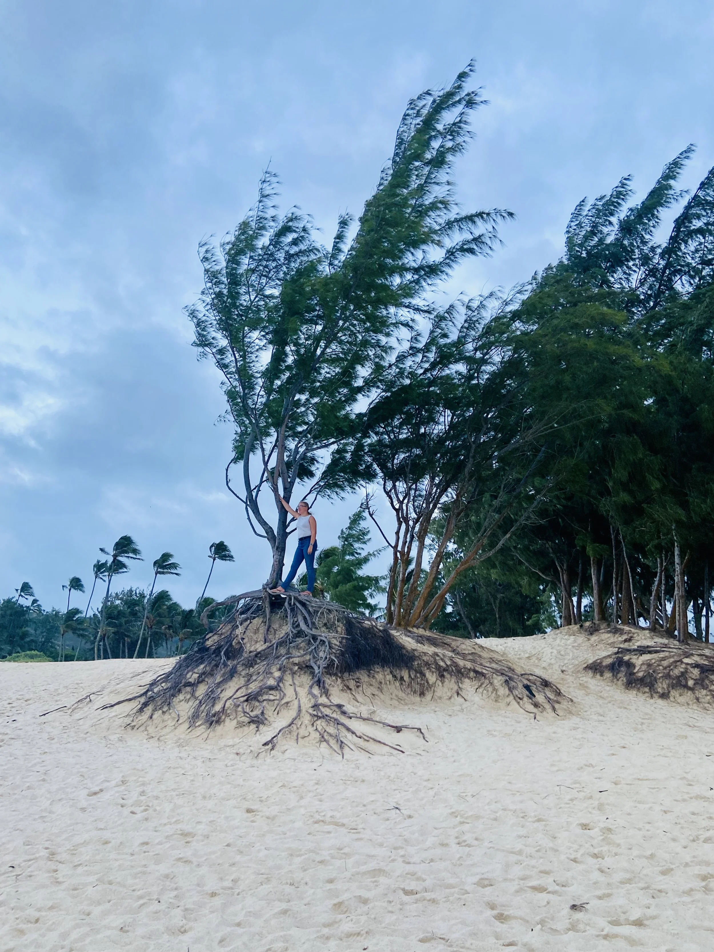 Our Roots