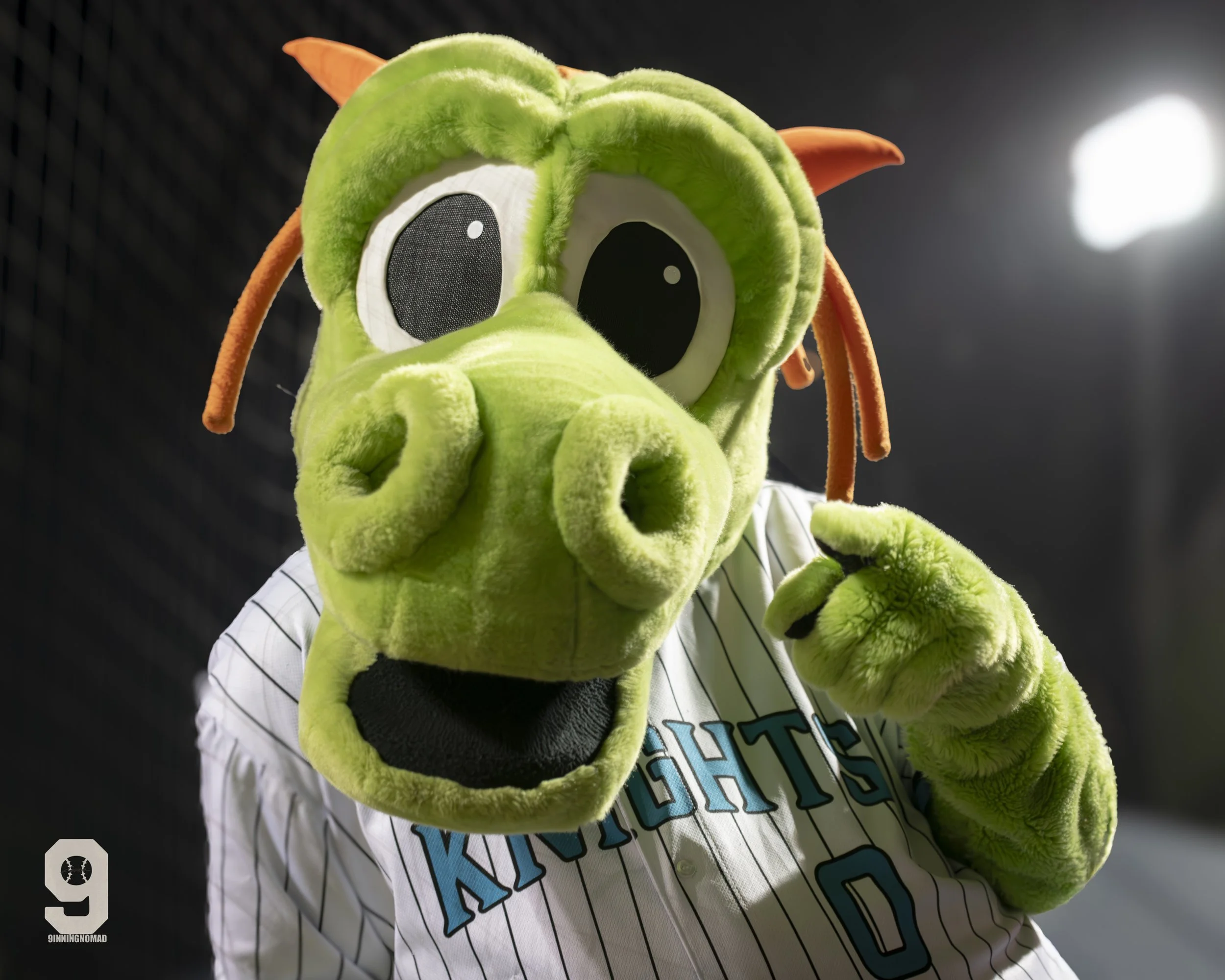 Homer- Charlotte knights.jpg