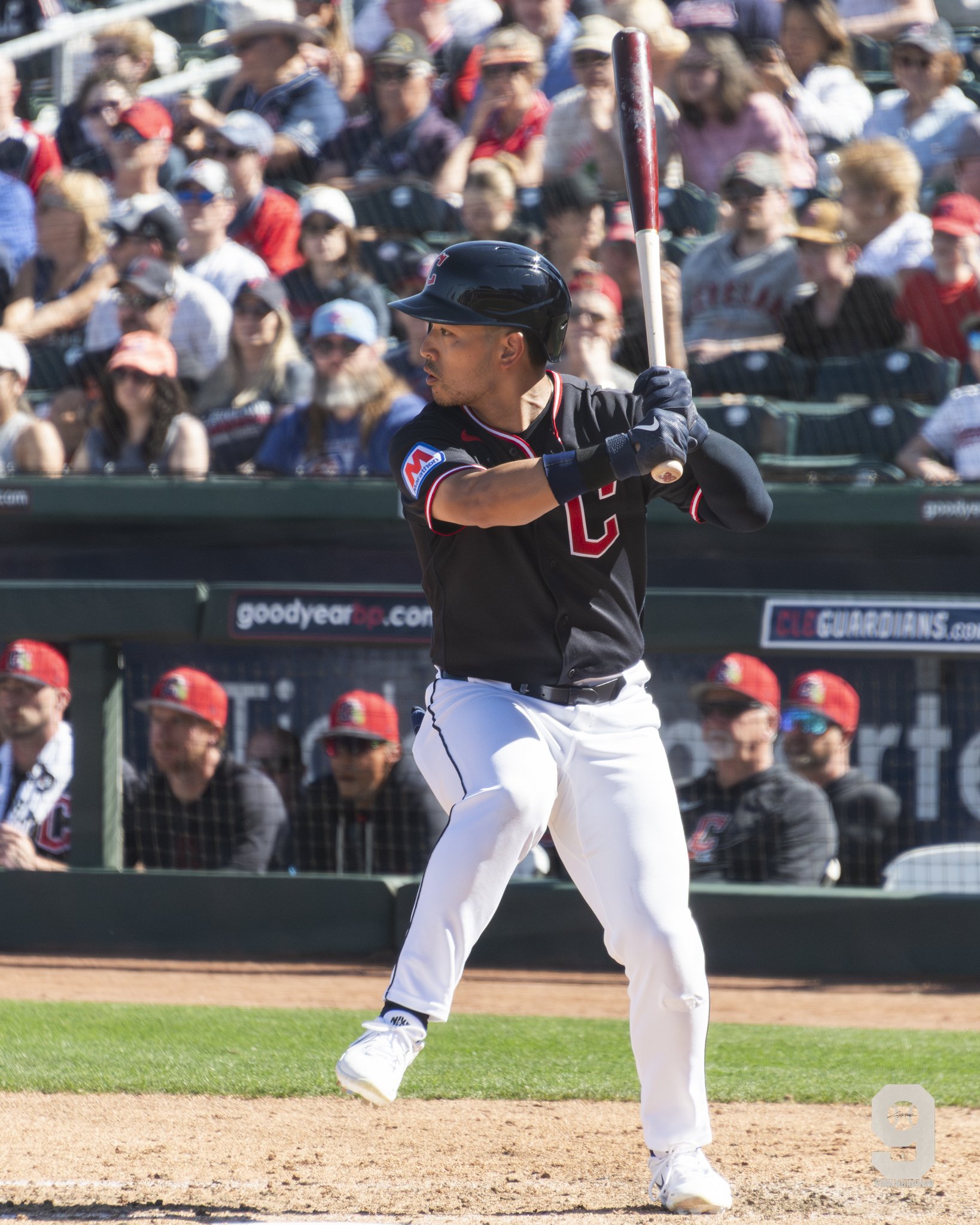 Steven Kwan- Guards-5.jpg