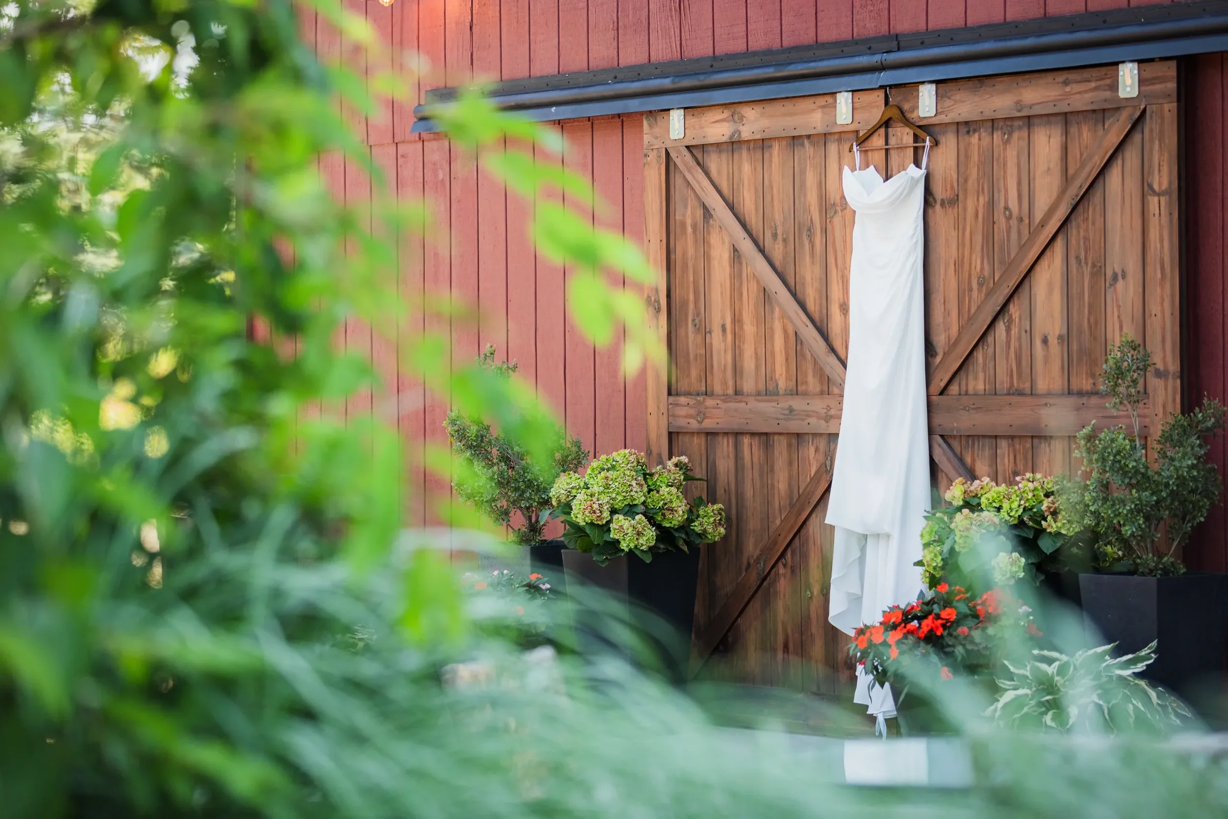 A white wedding dress hanging on a wooden barn door surrounded by green plants and flowers.