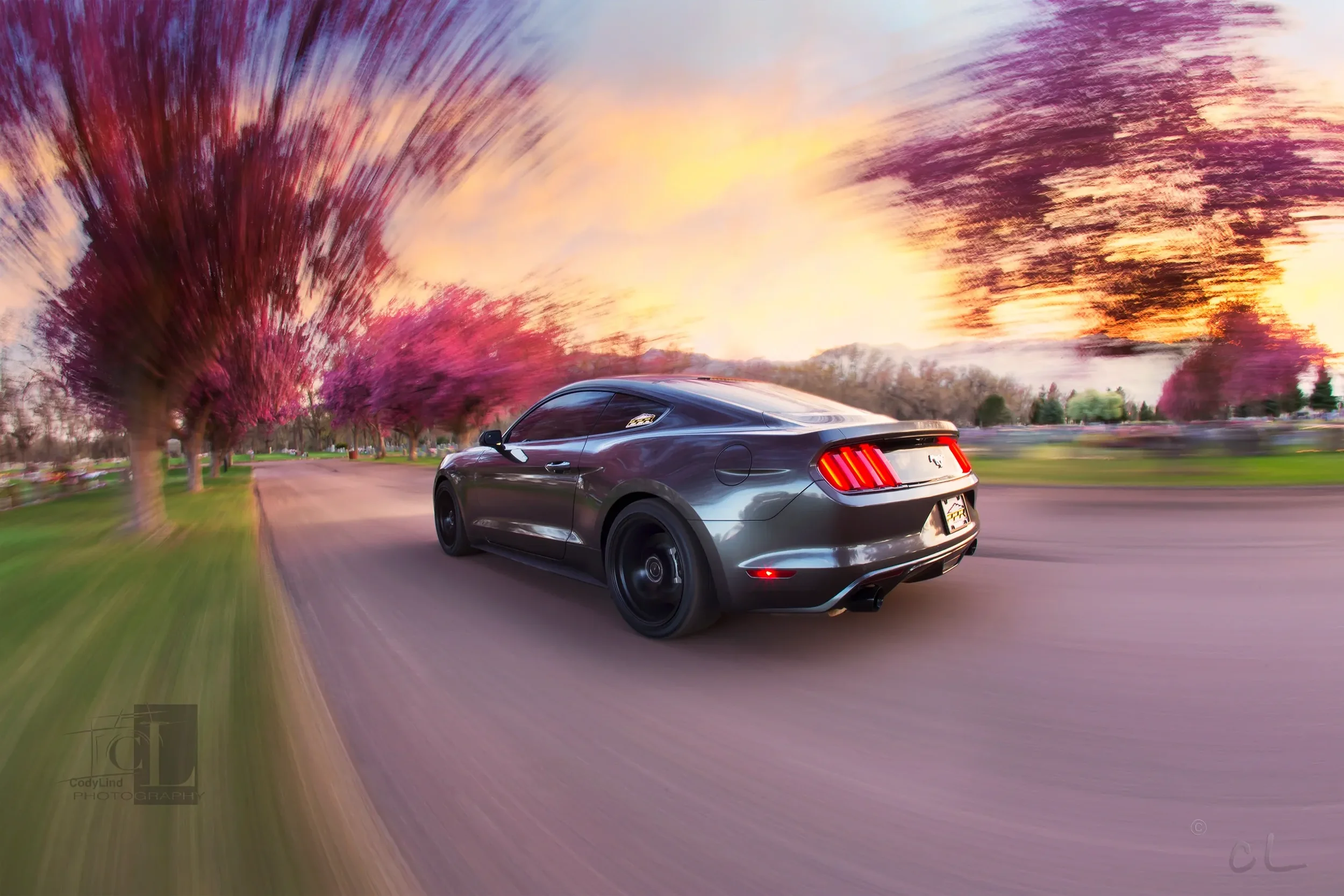 A gray Ford Mustang racing down a road at sunset with pink trees and colorful sky in the background.