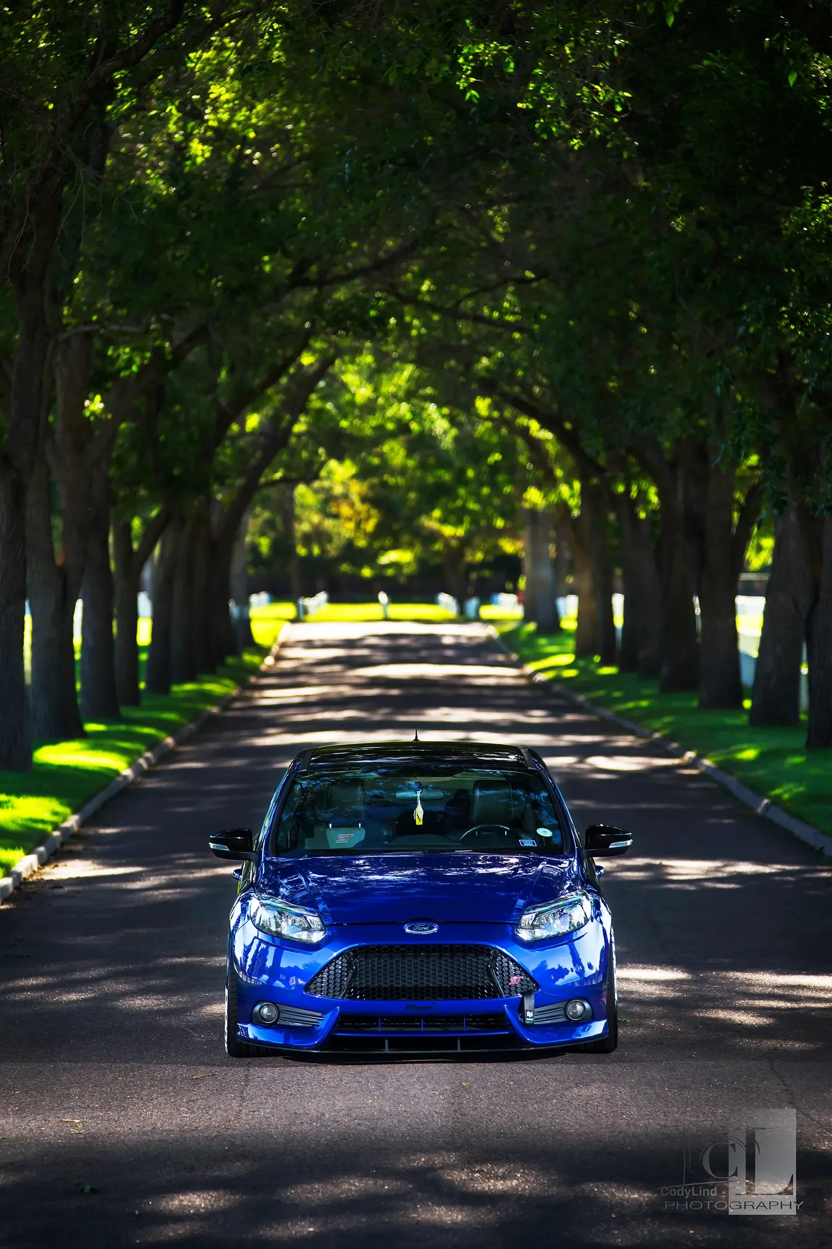 A blue Ford Focus ST parked on a shaded tree-lined street with sunlight filtering through the leaves.