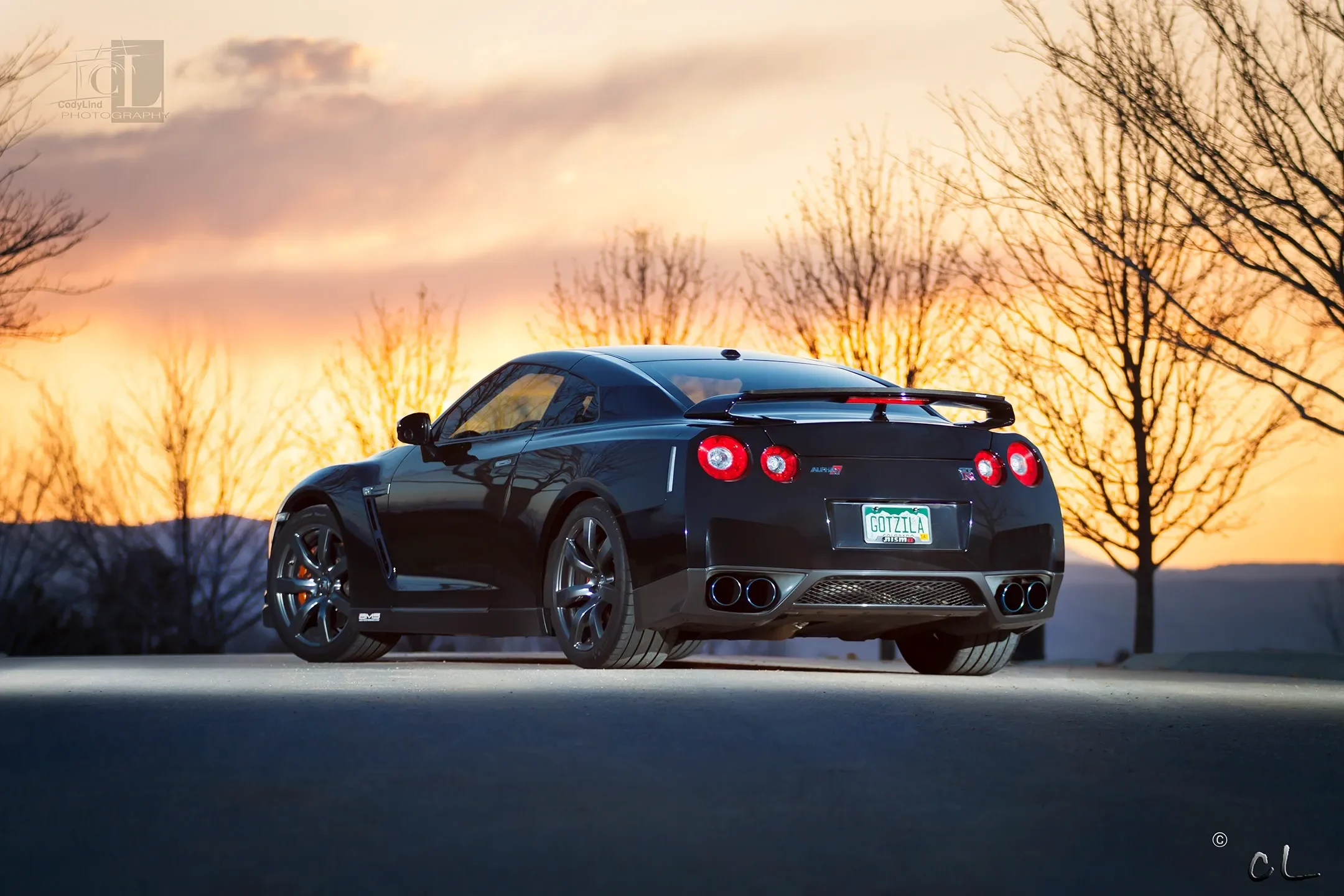 Black sports car parked outdoors during sunset with bare trees in the background, license plate reads 'GOTZILA.'